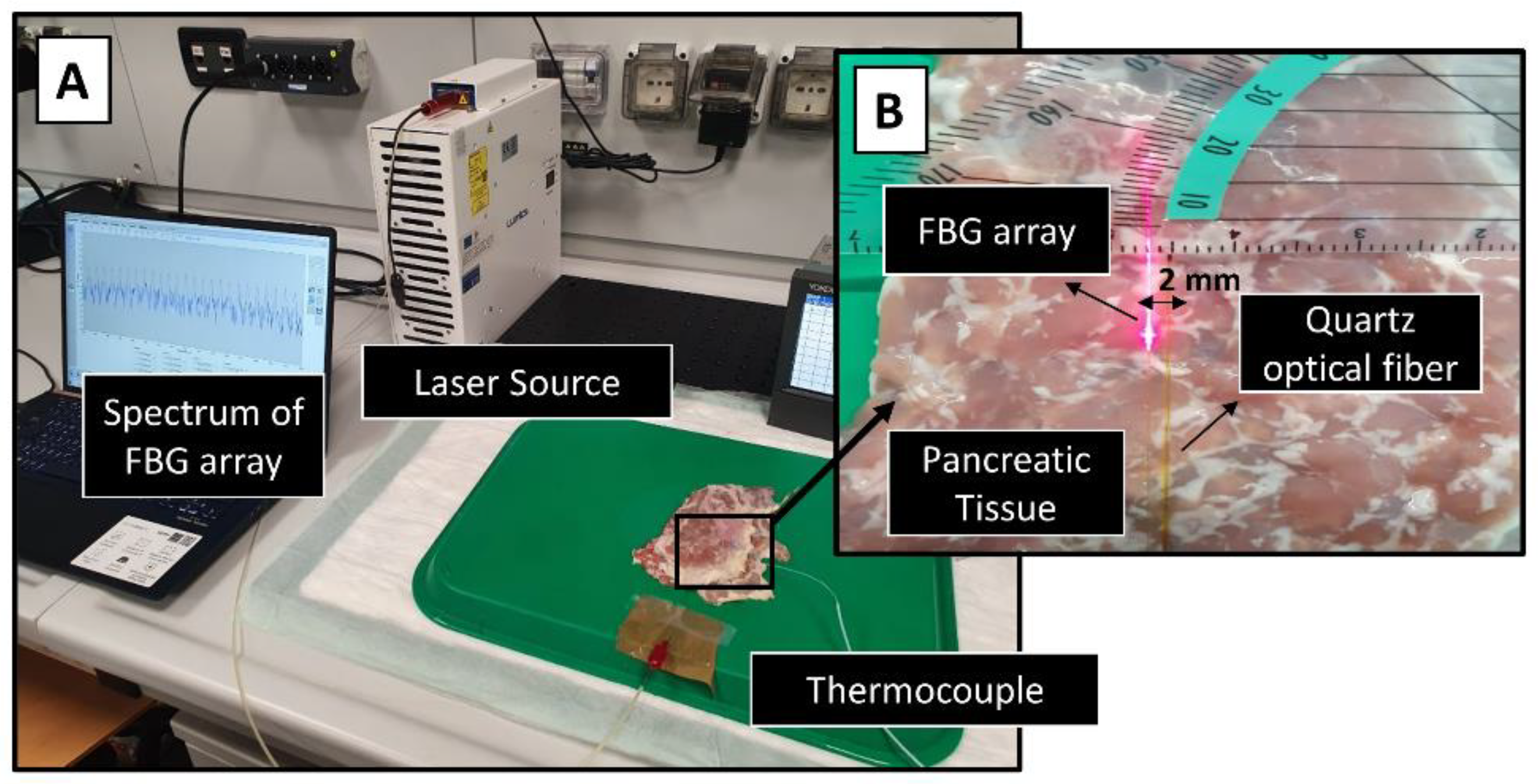 Cancers 14 05686 g002