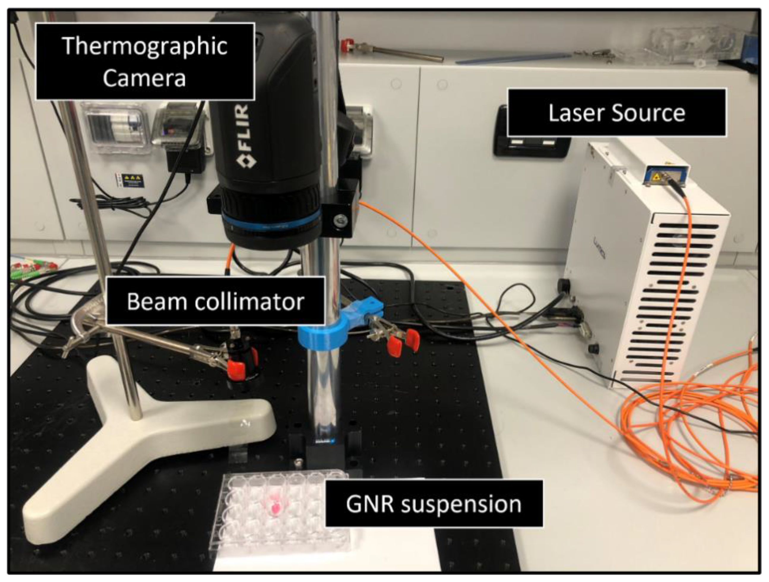 Cancers 14 05686 g004