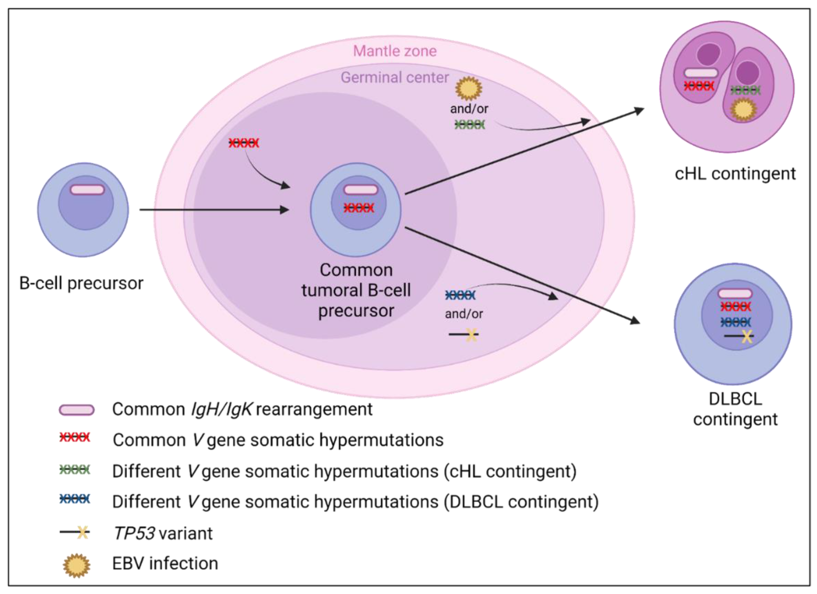 Cancers 14 05695 g006 Cancers 14 05695 g006