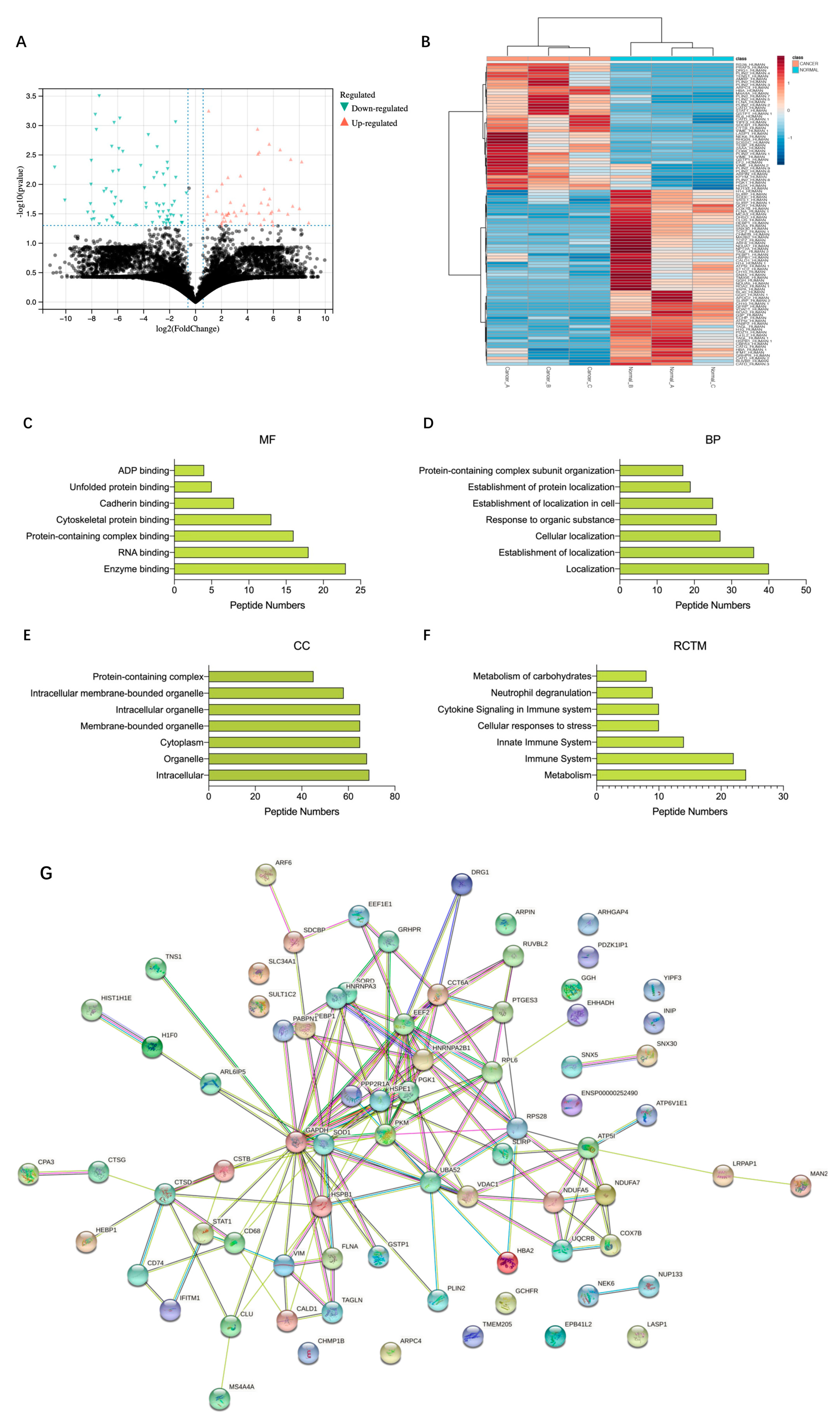 Cancers 14 05710 g001 Cancers 14 05710 g001