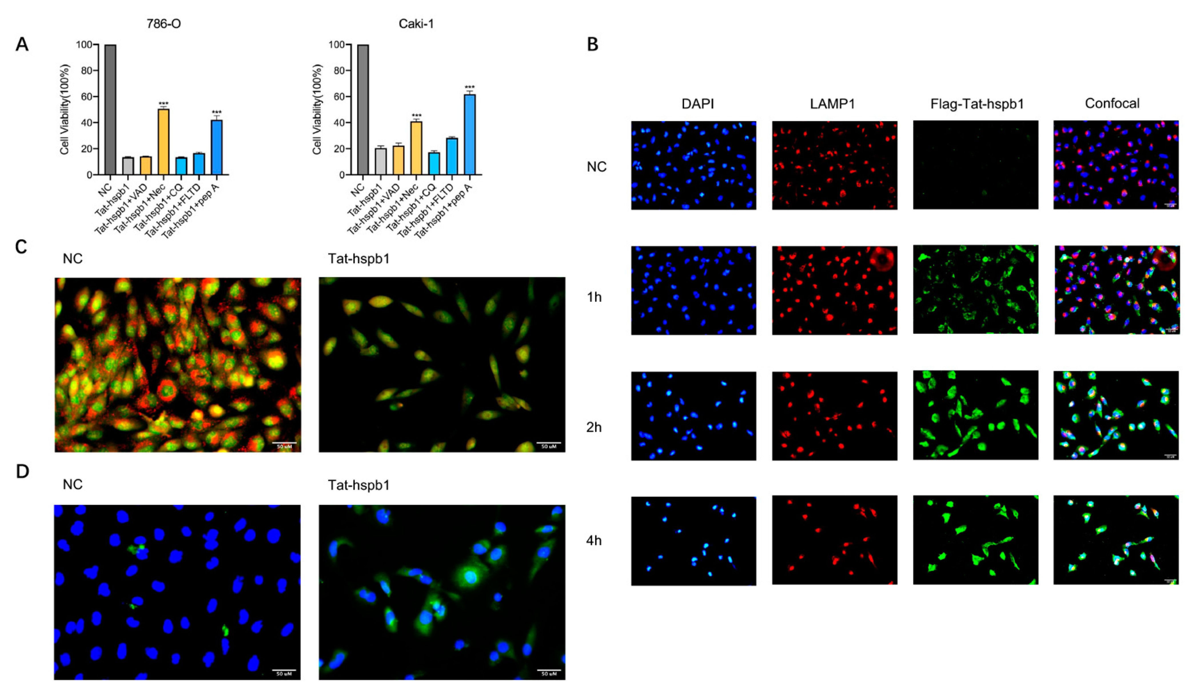 Cancers 14 05710 g005 Cancers 14 05710 g005