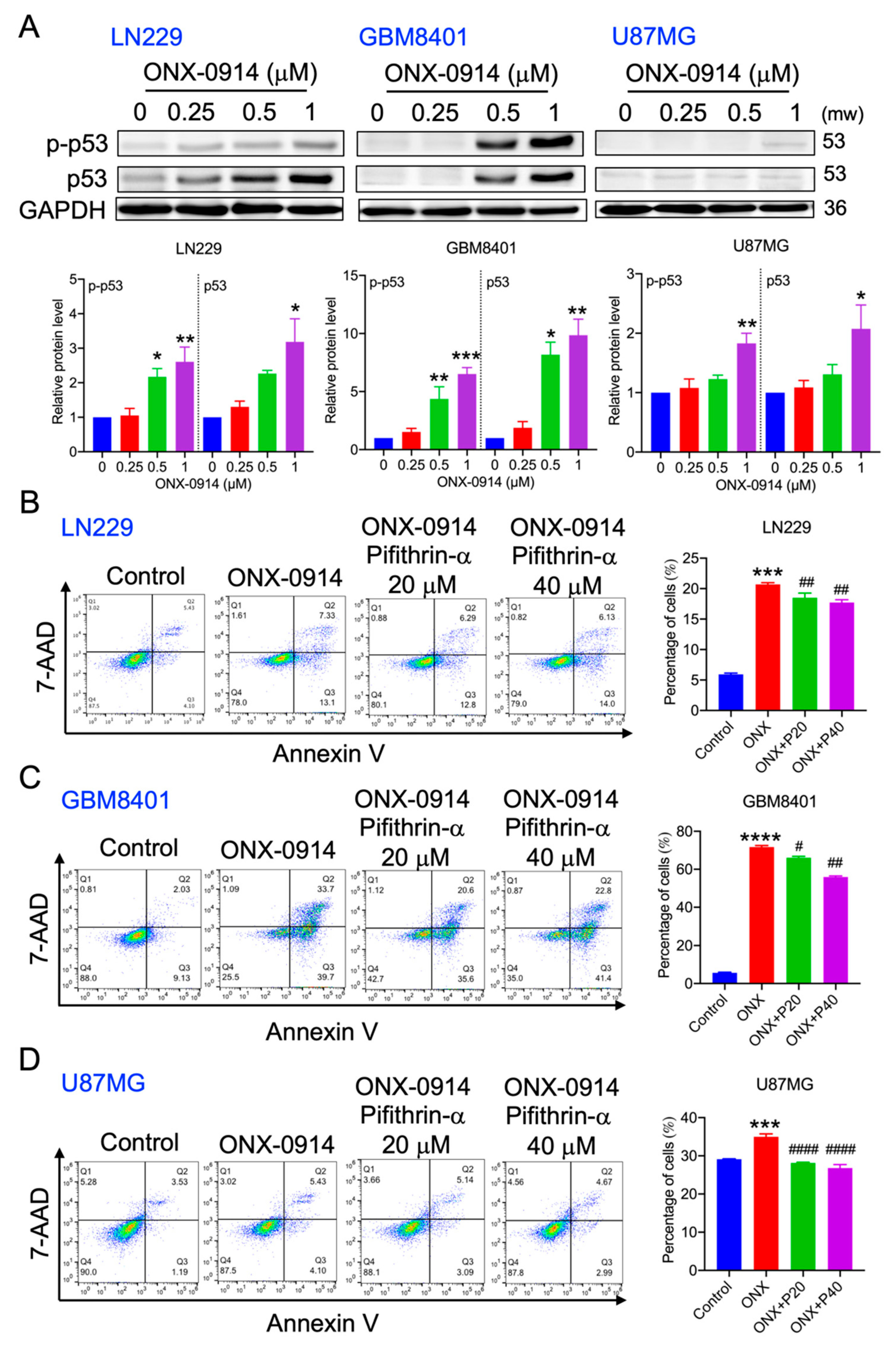 Cancers 14 05712 g004 Cancers 14 05712 g004