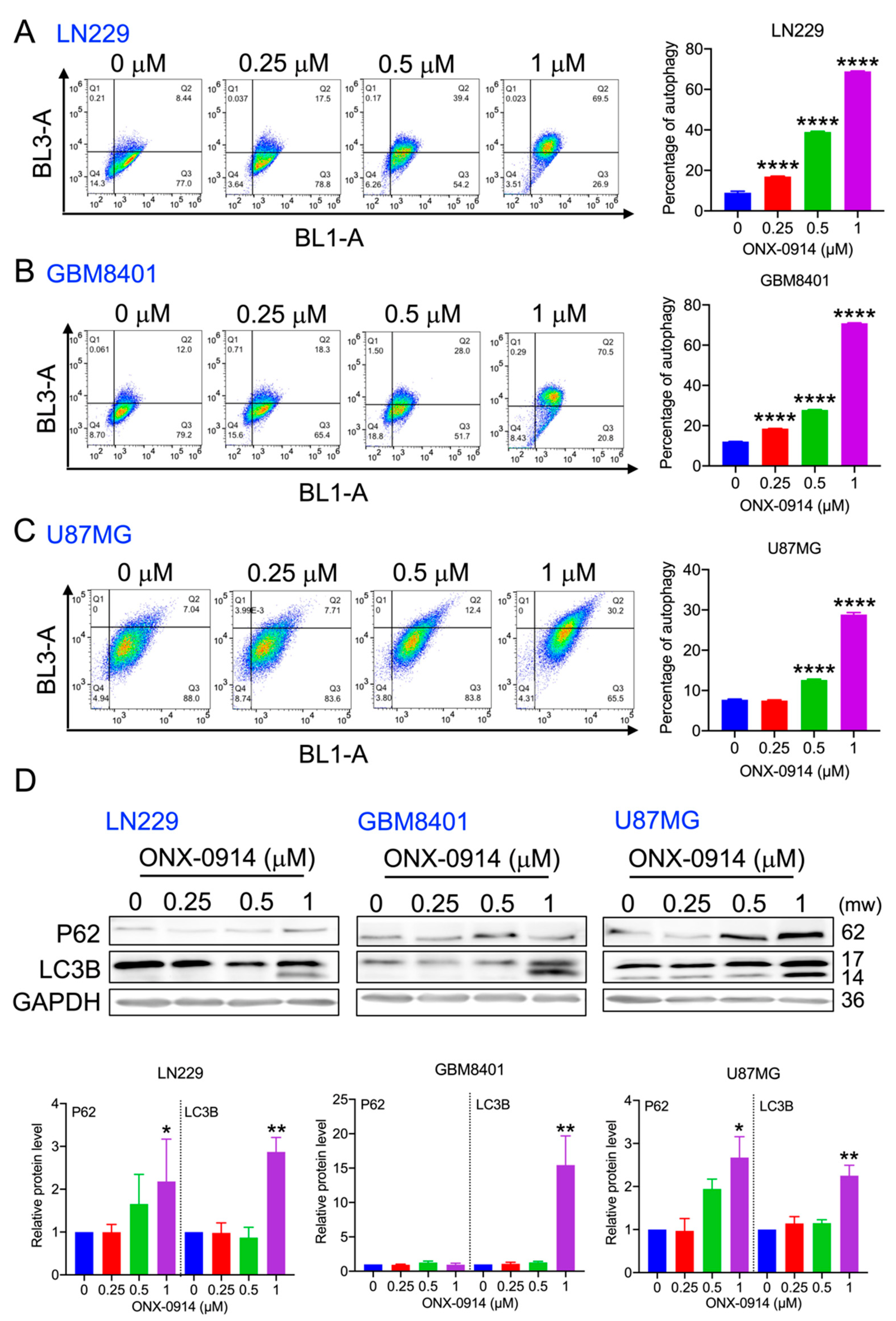 Cancers 14 05712 g005 Cancers 14 05712 g005