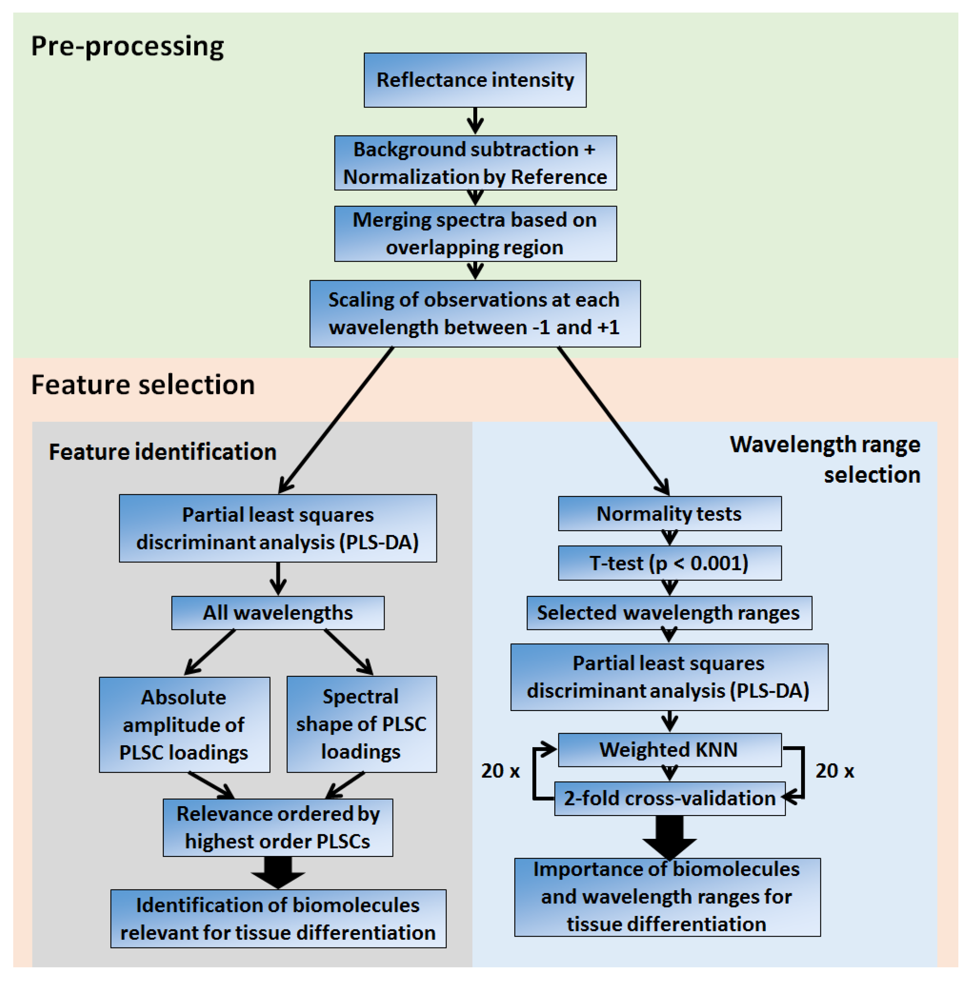 Cancers 14 05715 g002