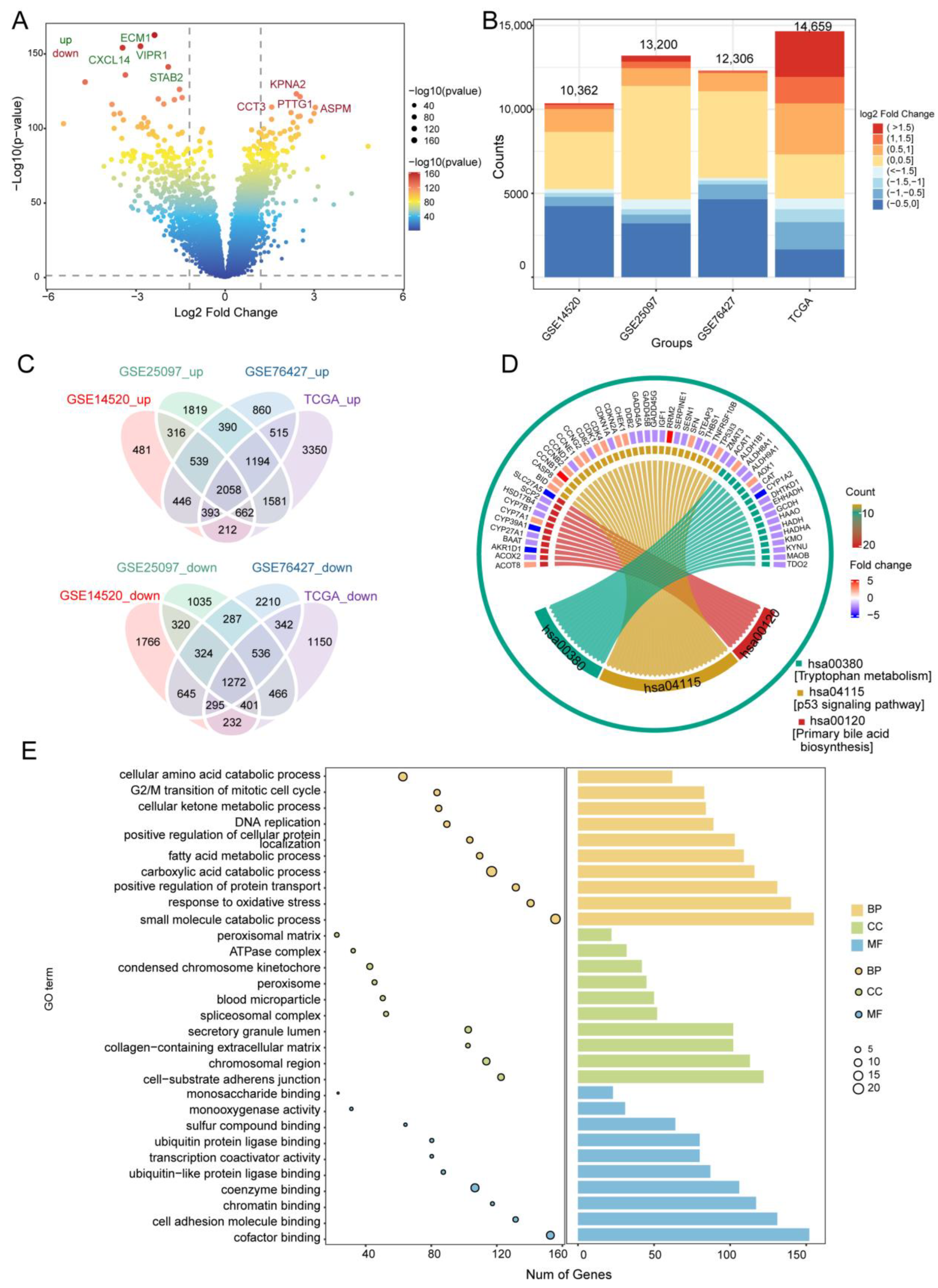 Cancers 14 05721 g002 Cancers 14 05721 g002