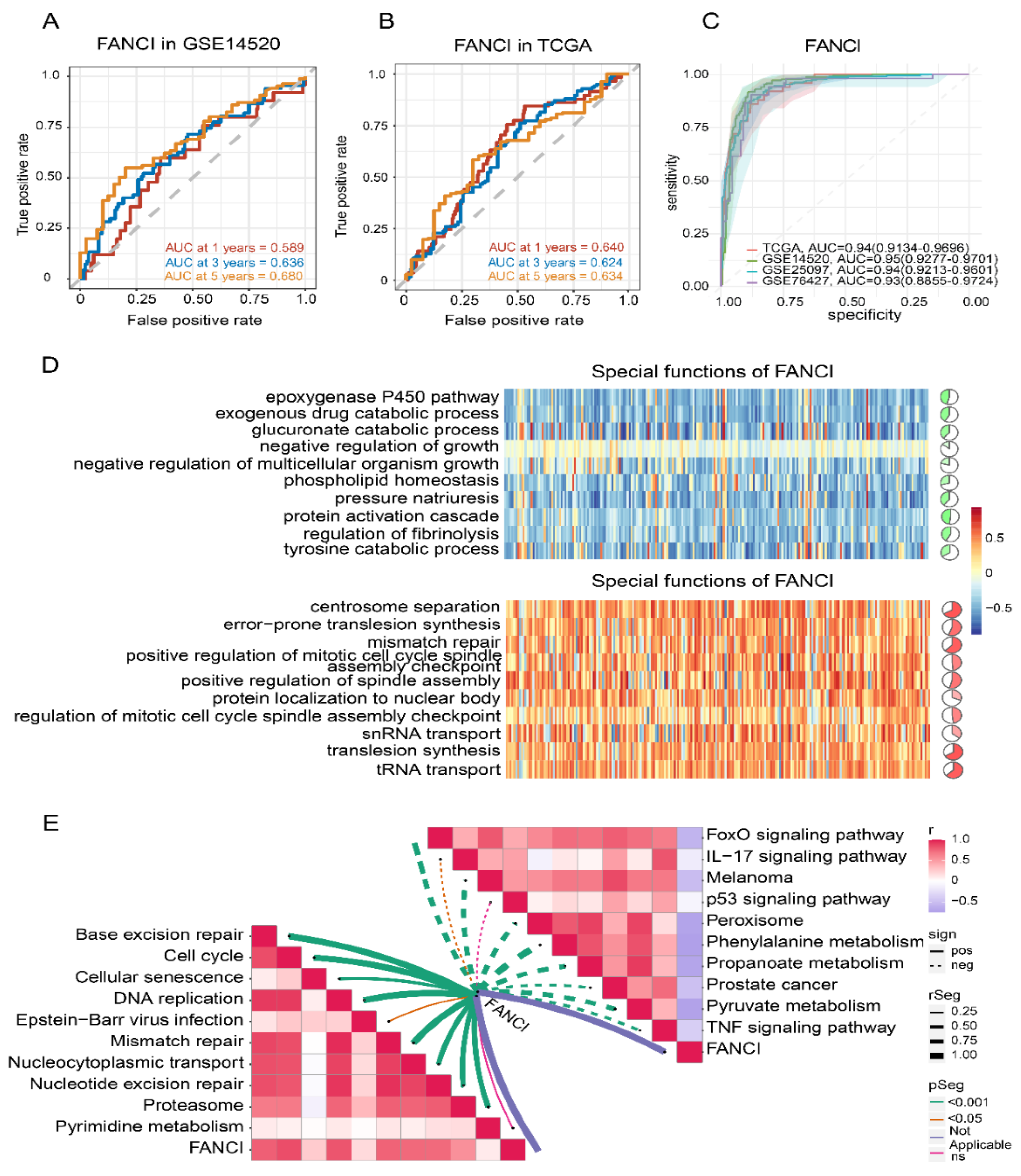 Cancers 14 05721 g007 Cancers 14 05721 g007