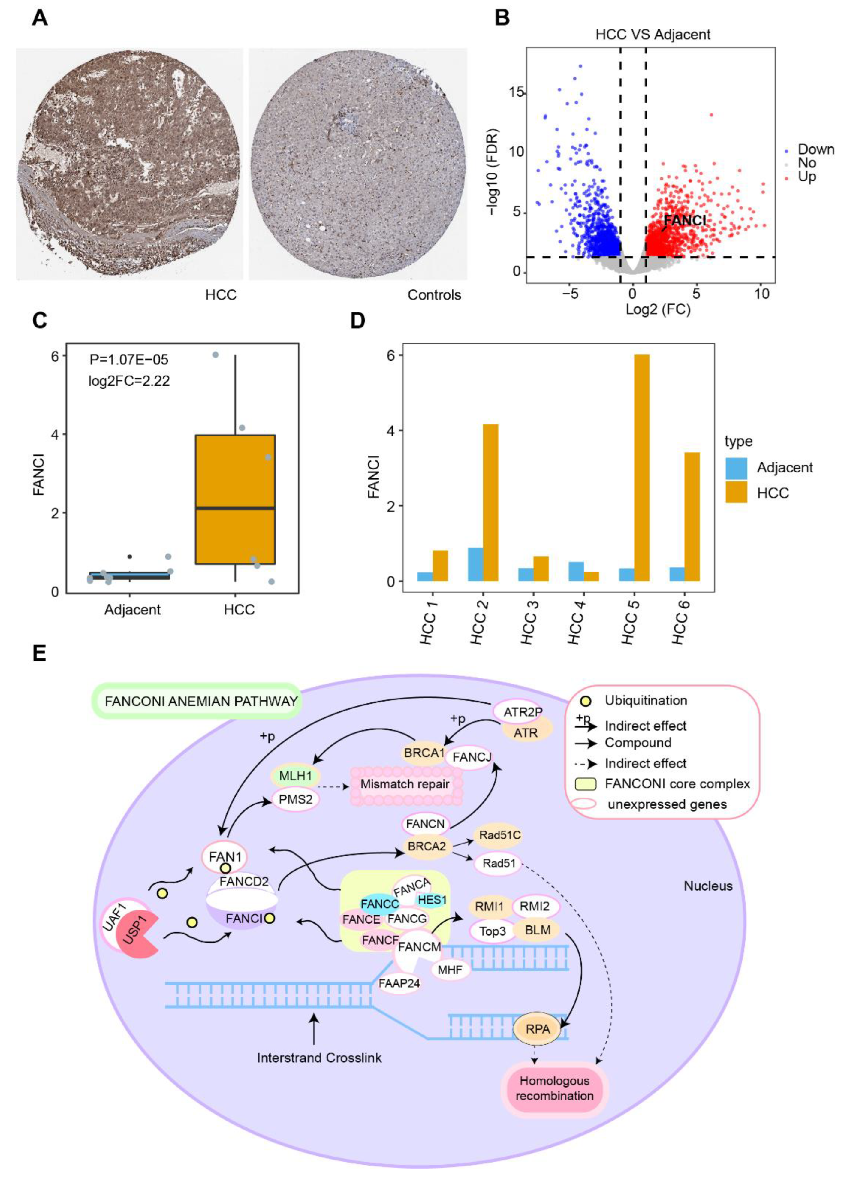 Cancers 14 05721 g008 Cancers 14 05721 g008