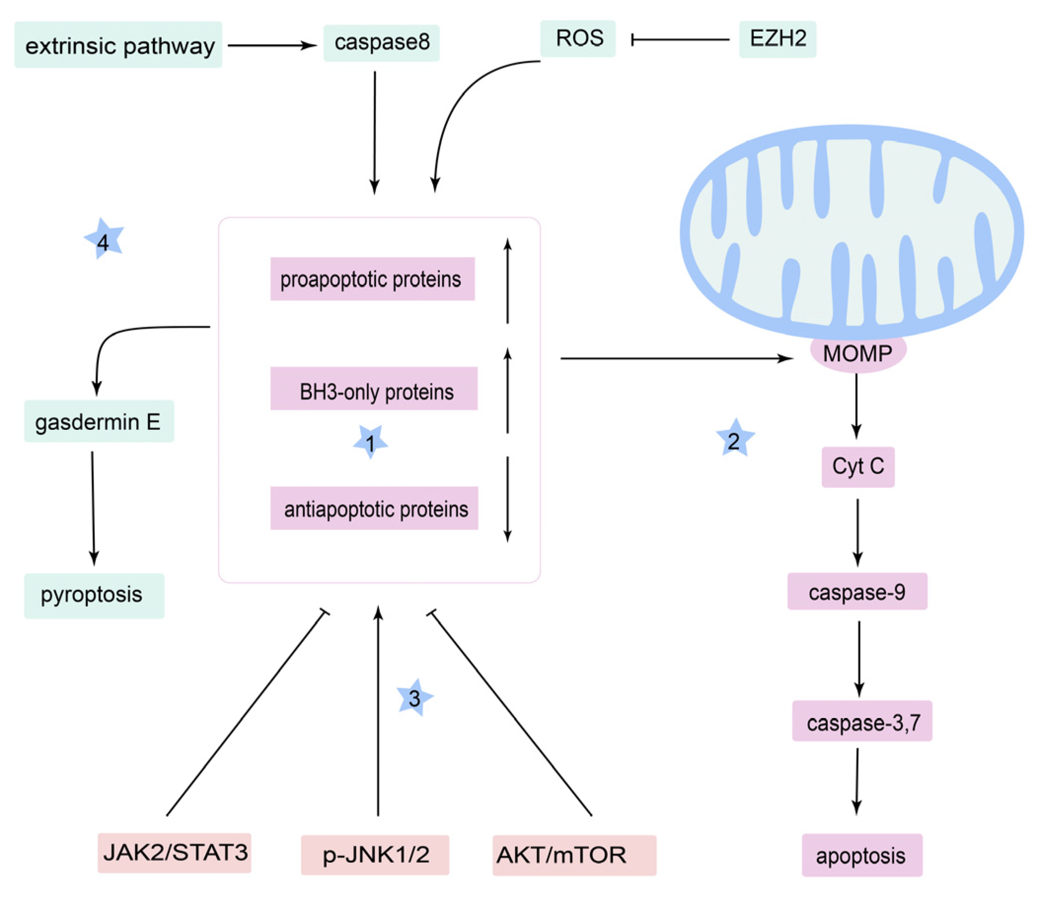 Cancers 14 05723 g002