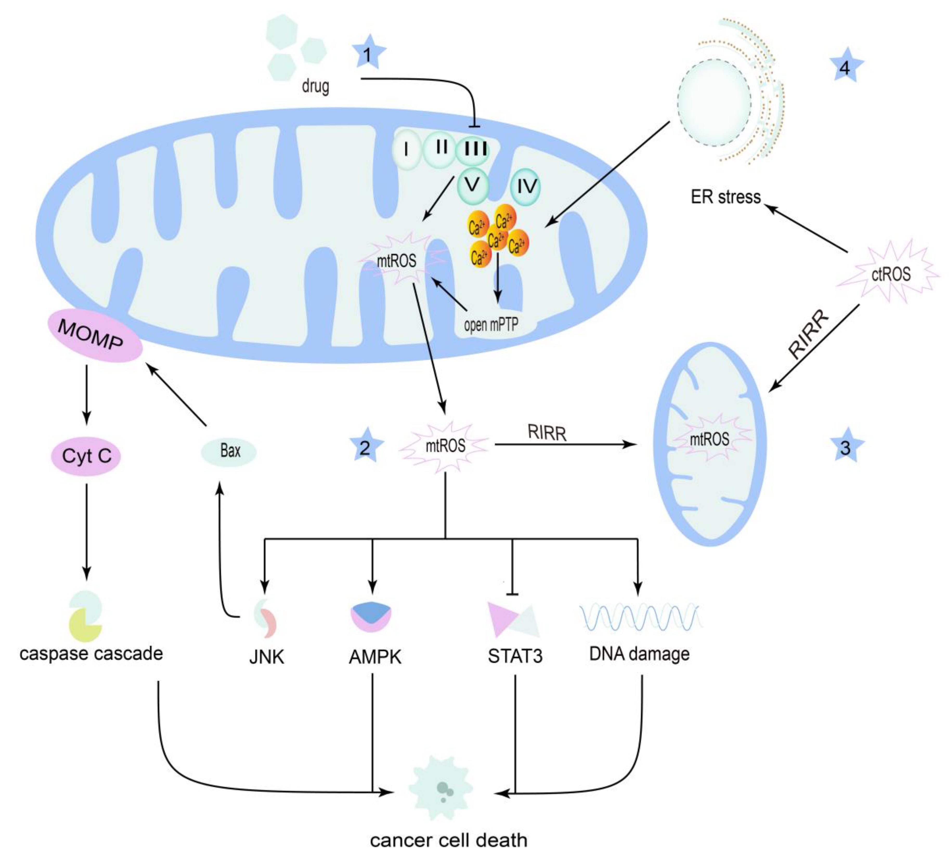 Cancers 14 05723 g003