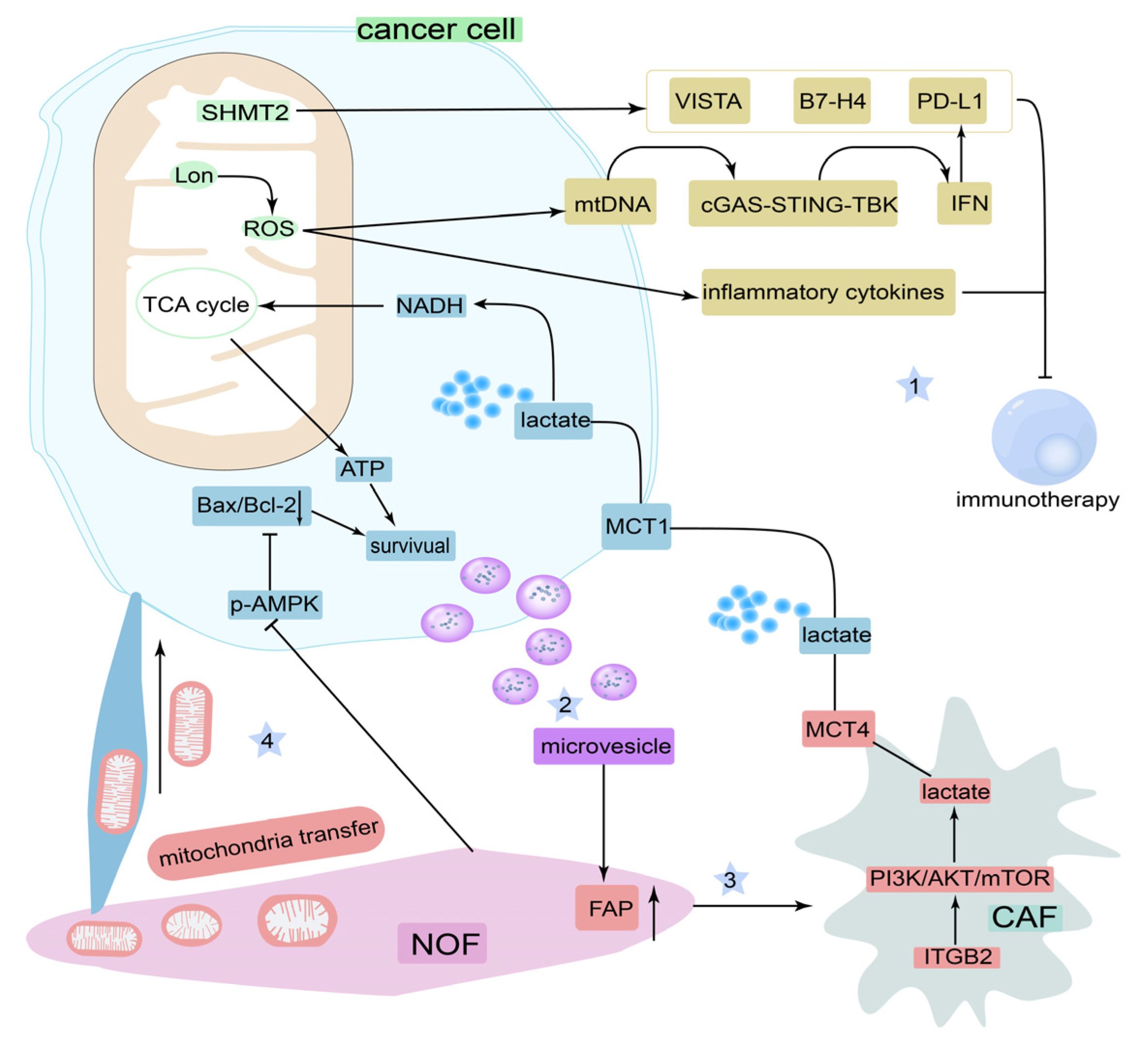 Cancers 14 05723 g007