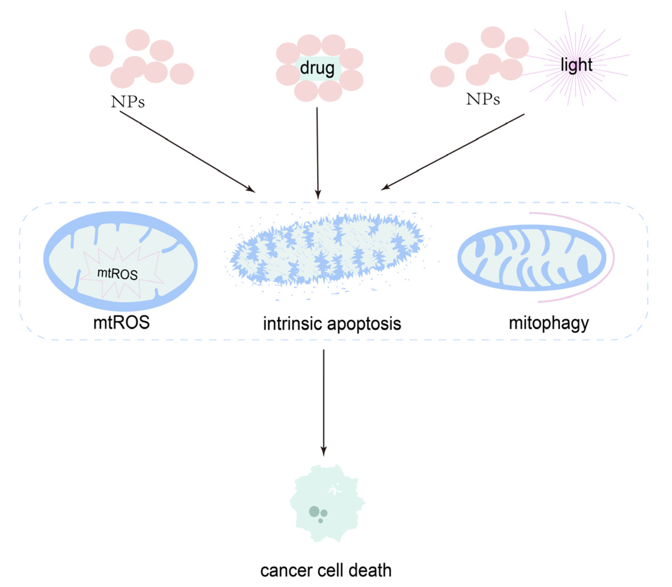 Cancers 14 05723 g008