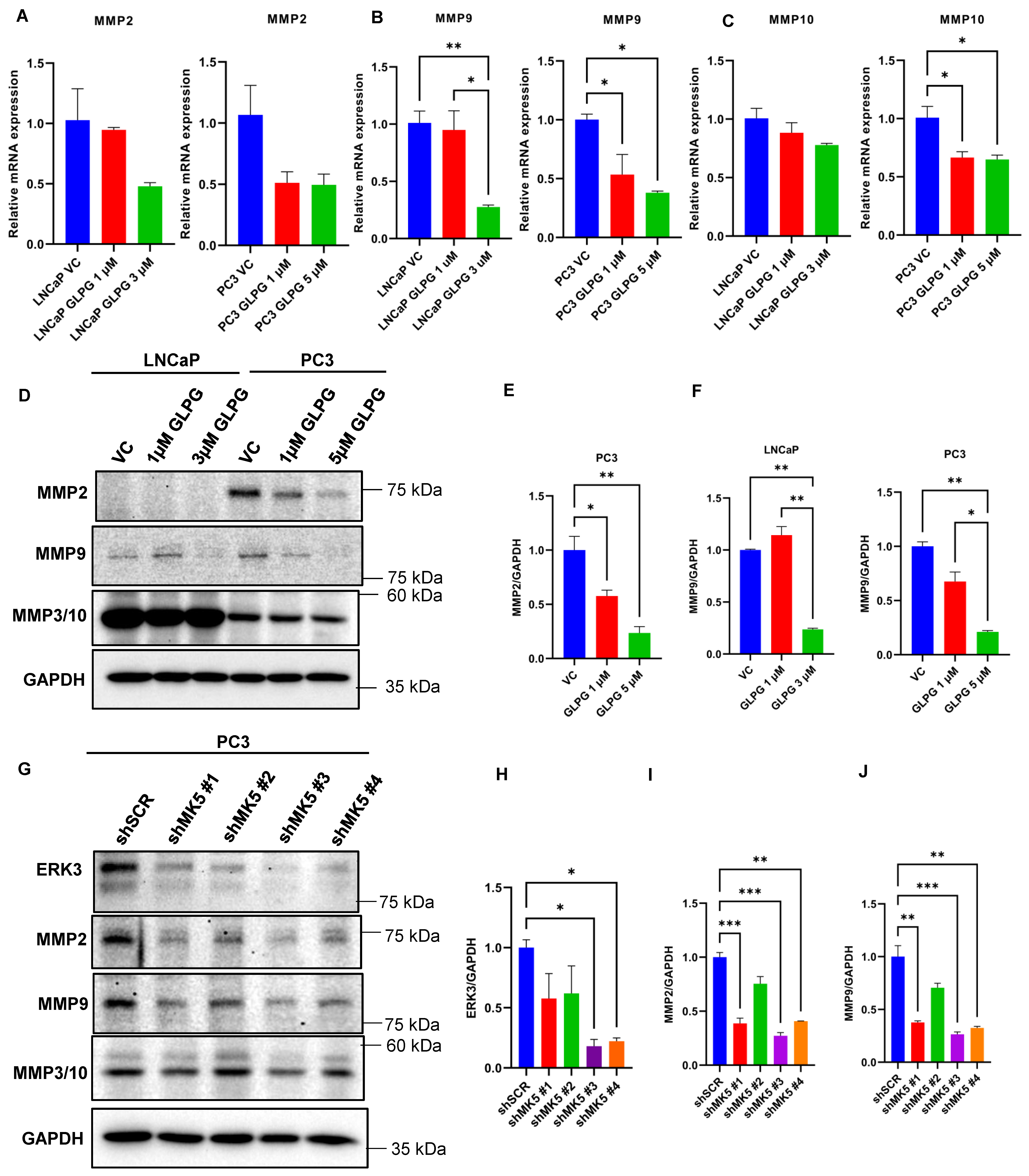 Cancers 14 05728 g005 Cancers 14 05728 g005
