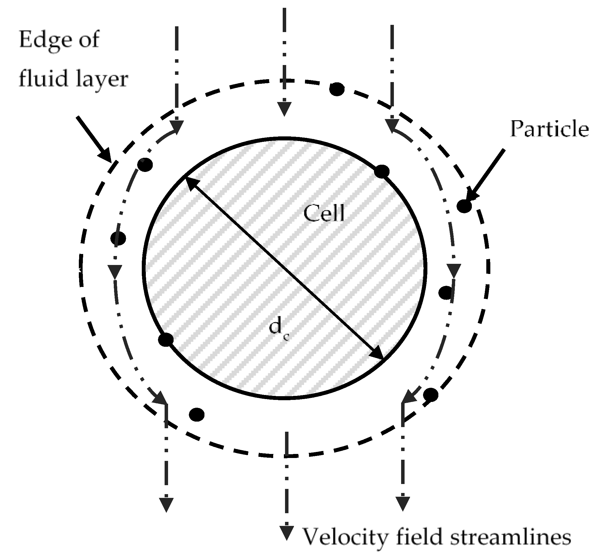 Cancers 14 05729 g001 Cancers 14 05729 g001