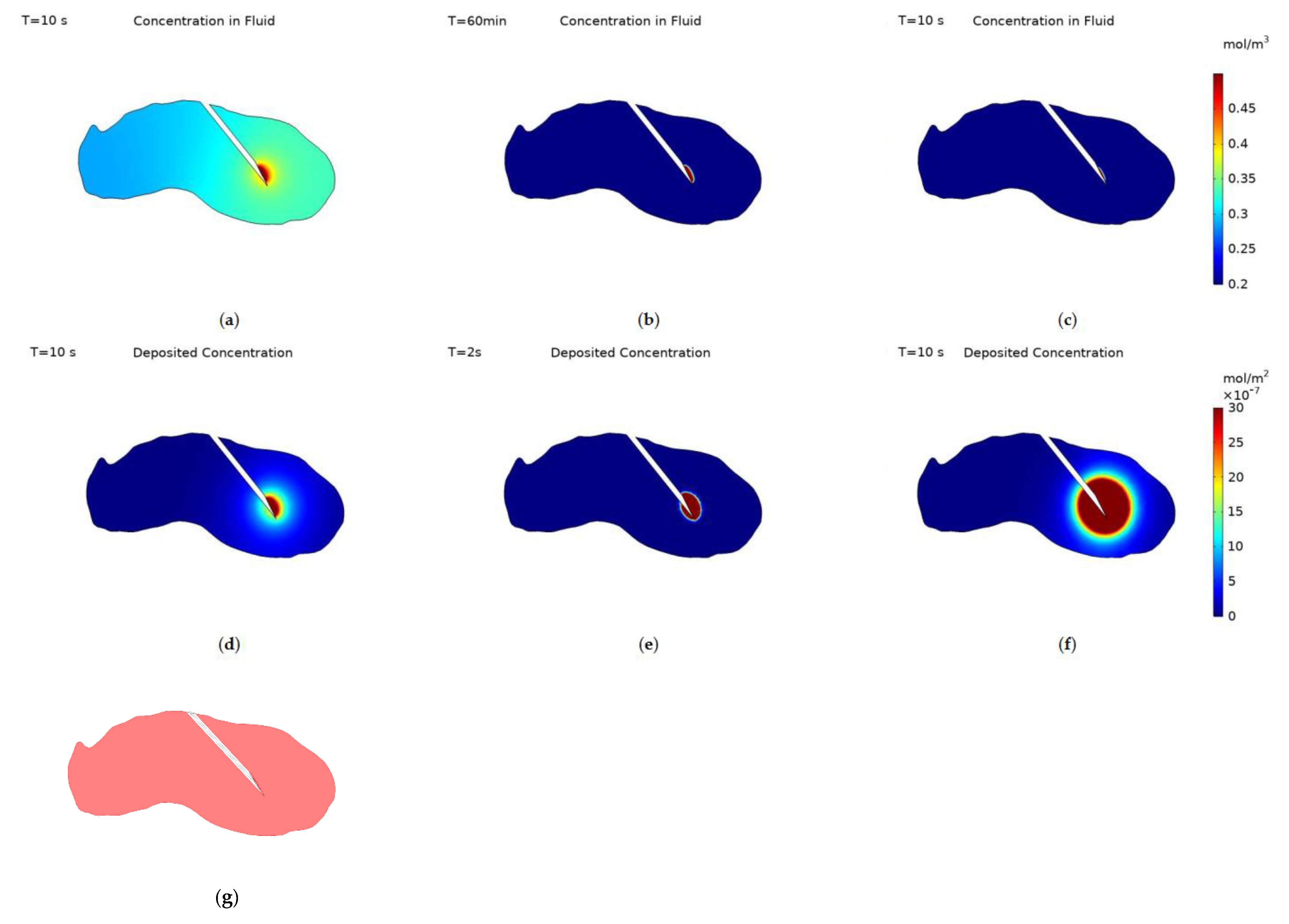 Cancers 14 05729 g004 Cancers 14 05729 g004