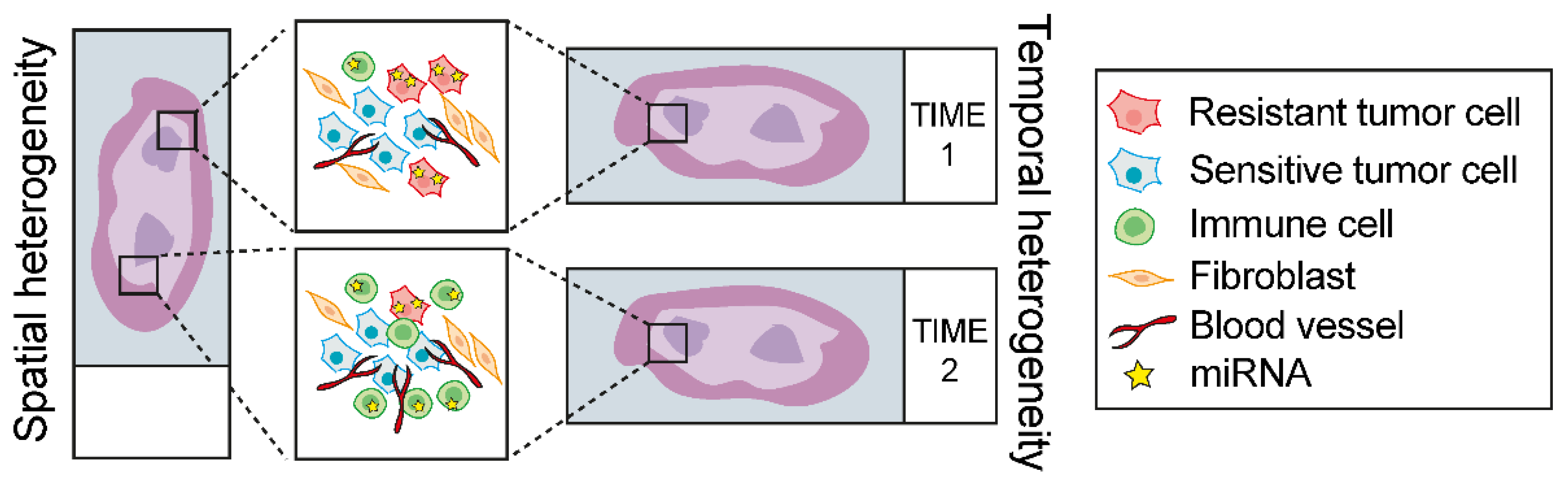 Cancers 14 05731 g002