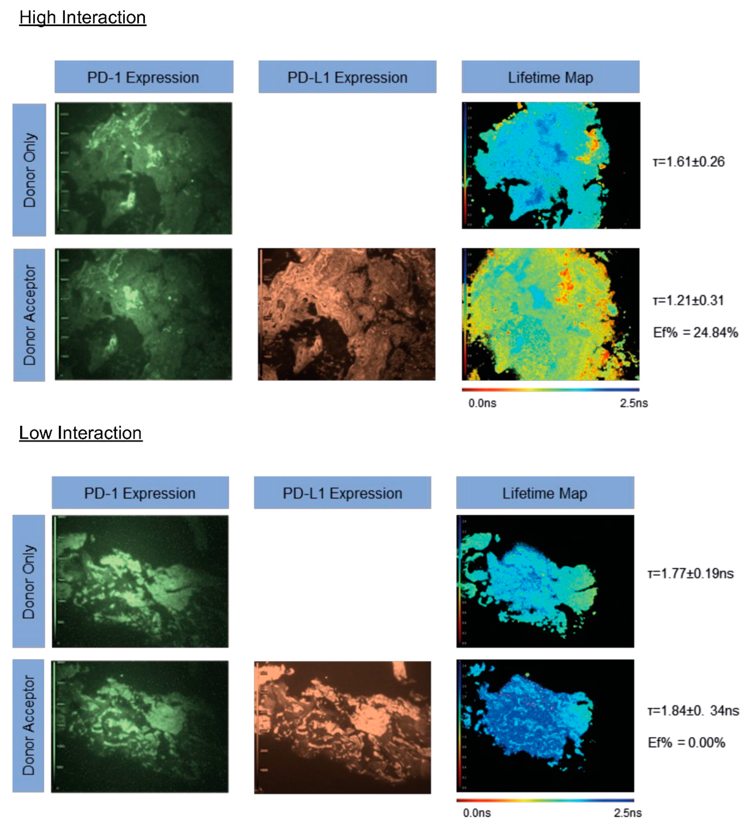 Cancers 14 05738 g003 Cancers 14 05738 g003