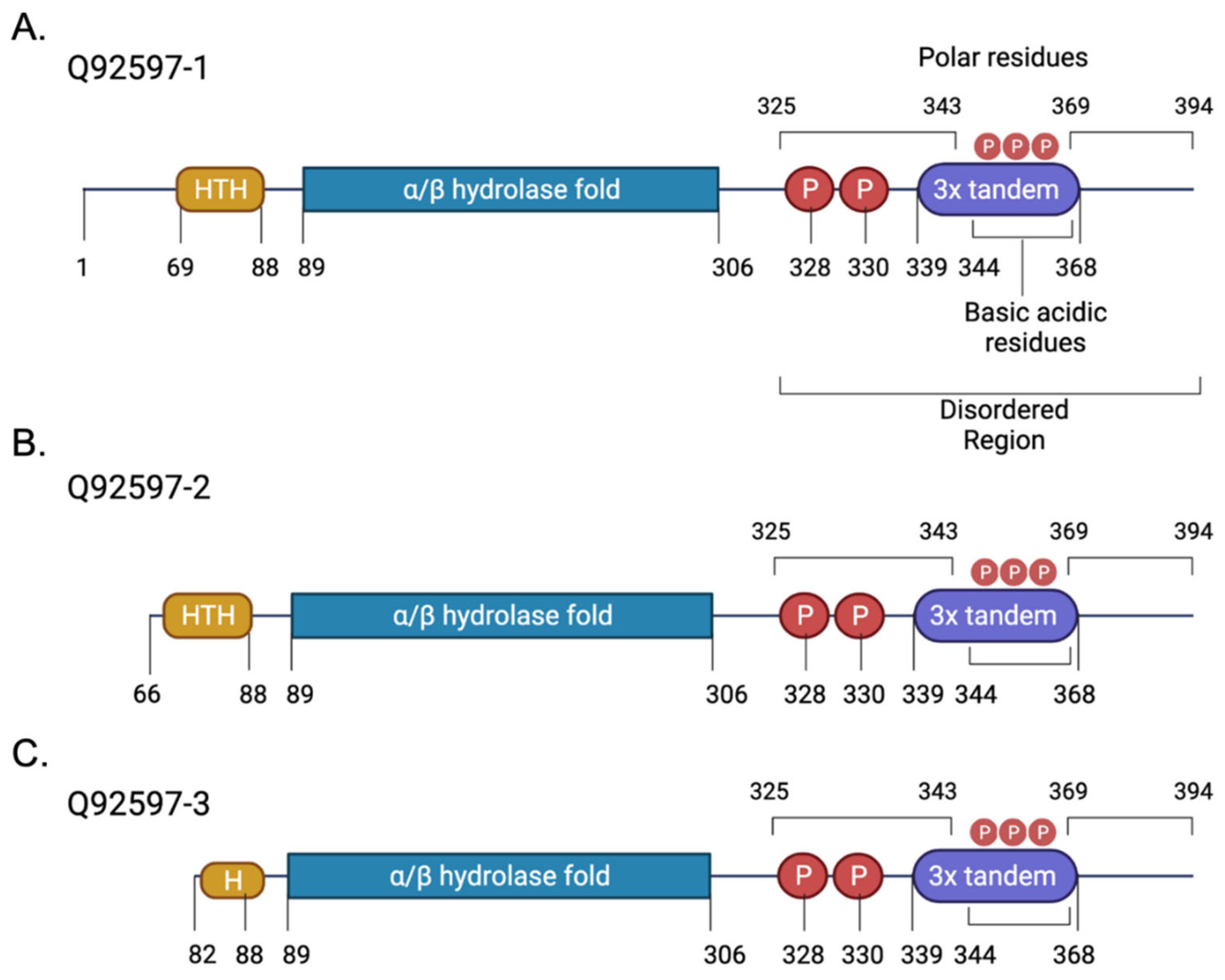Cancers 14 05739 g001
