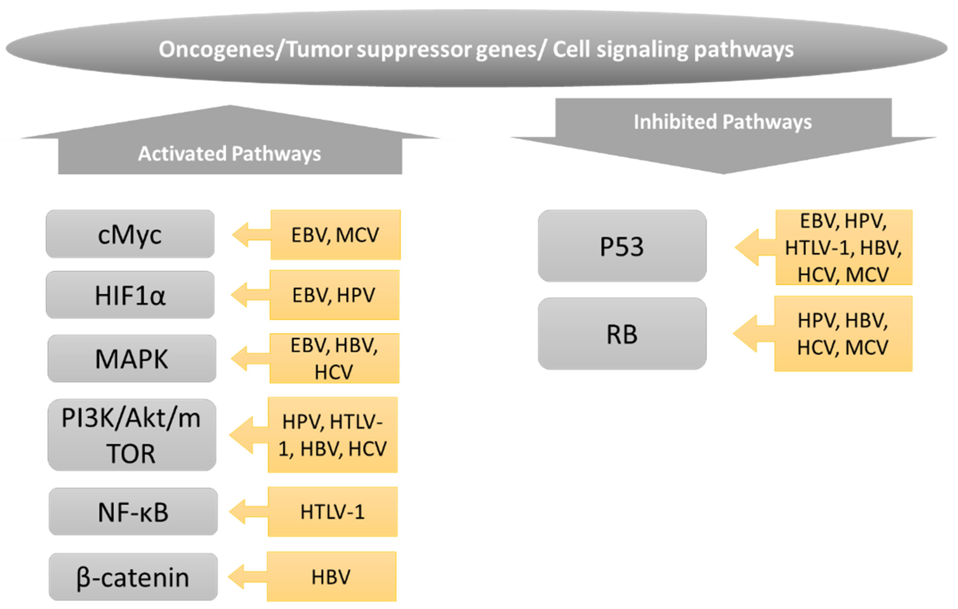 Cancers 14 05742 g003