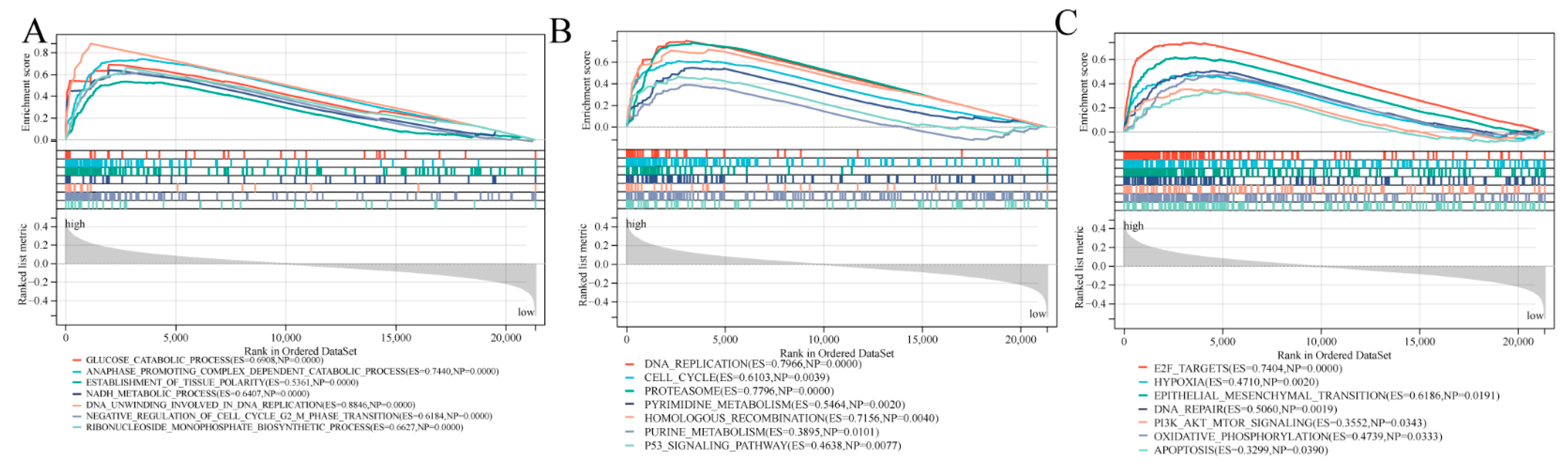 Cancers 14 05744 g007 Cancers 14 05744 g007