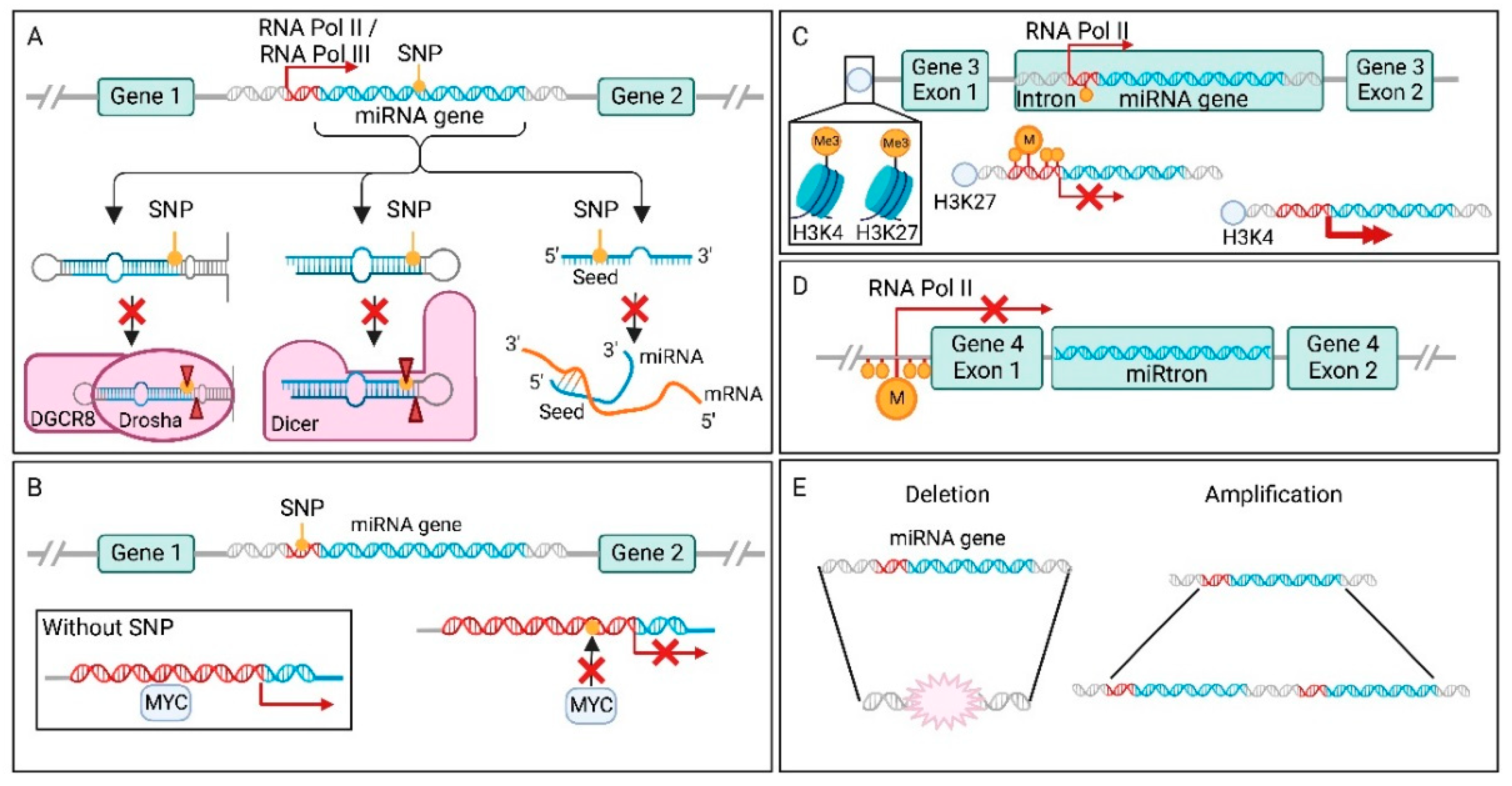 Cancers 14 05748 g002 Cancers 14 05748 g002