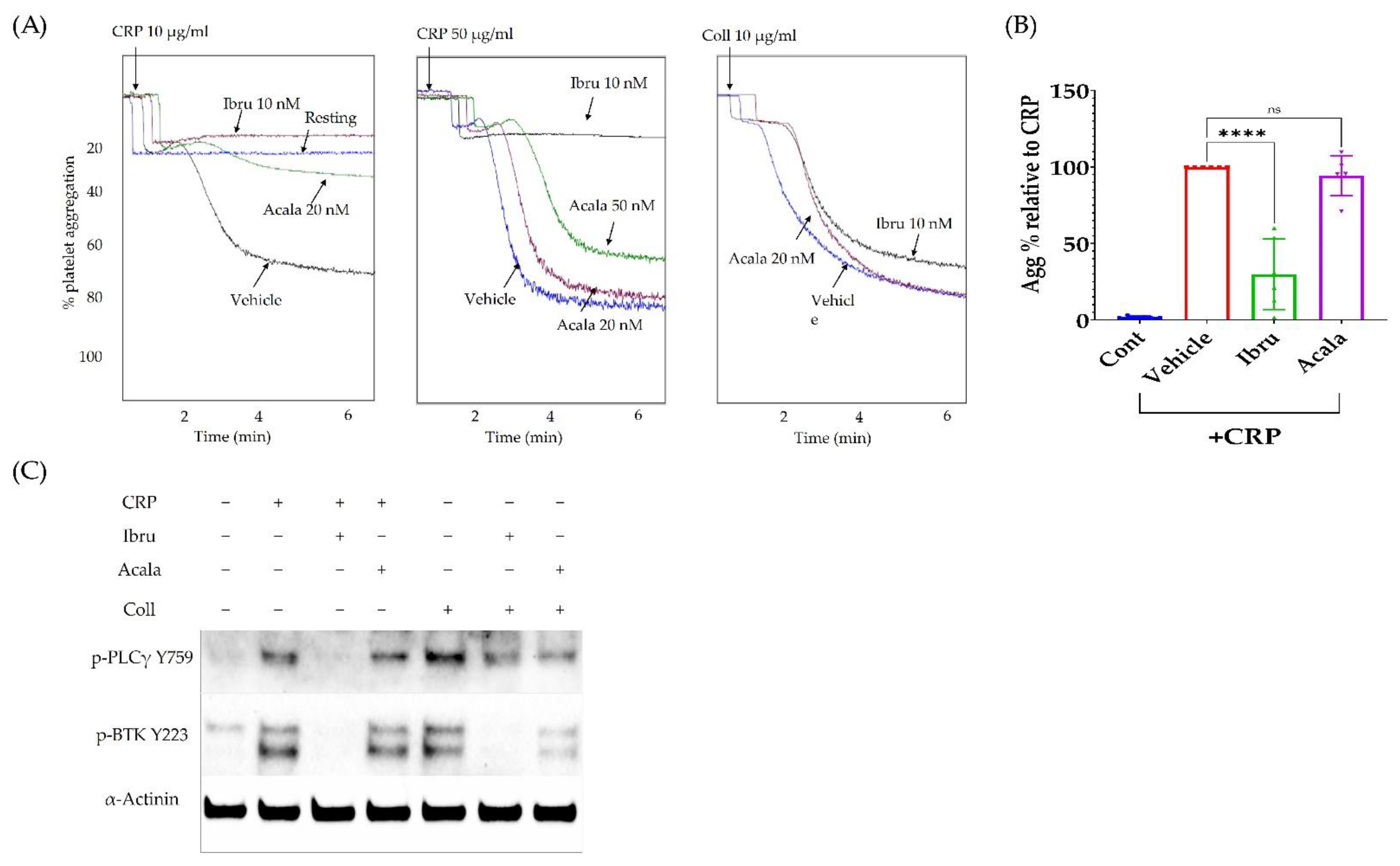Cancers 14 05750 g004 Cancers 14 05750 g004