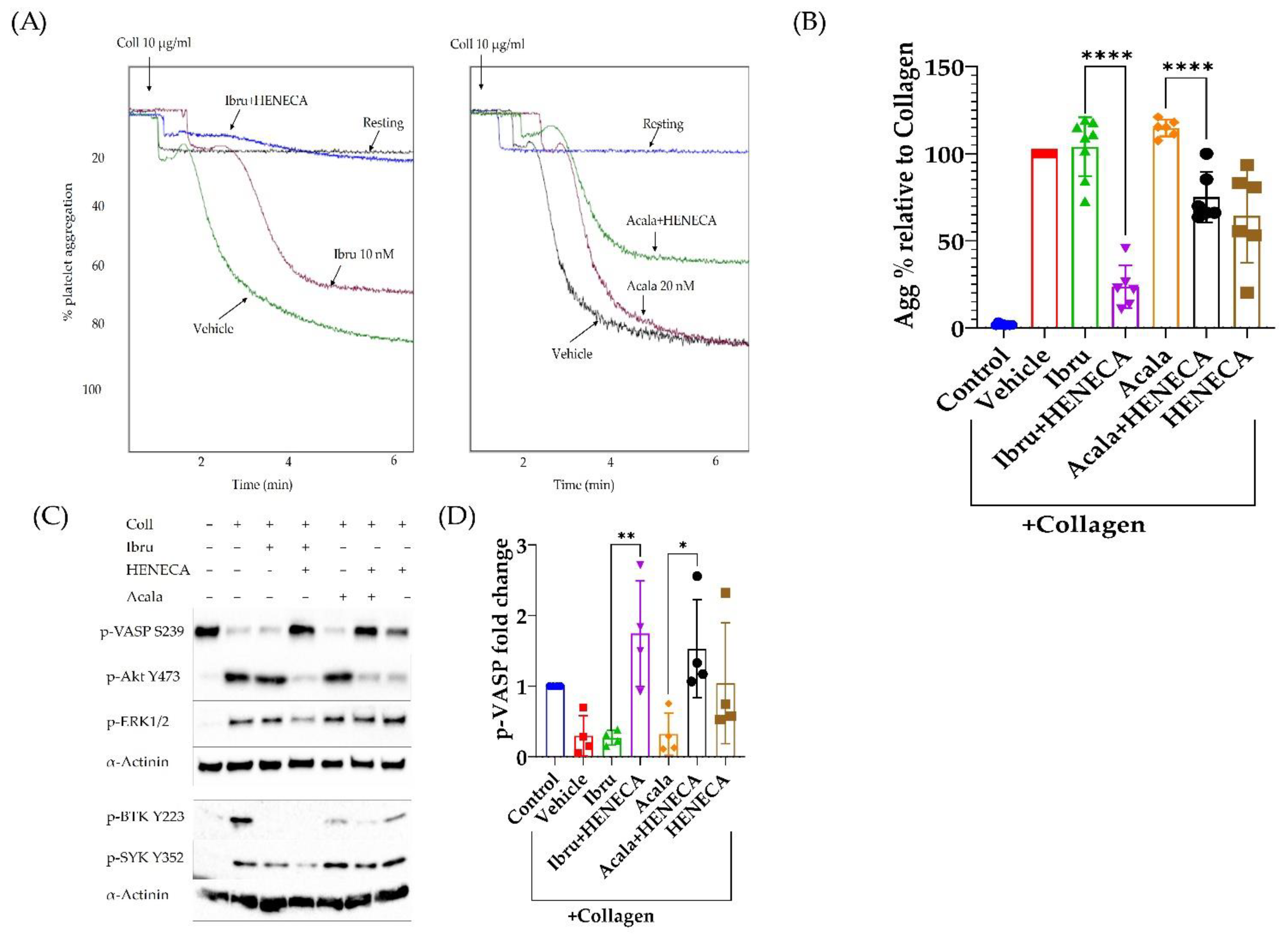 Cancers 14 05750 g005 Cancers 14 05750 g005
