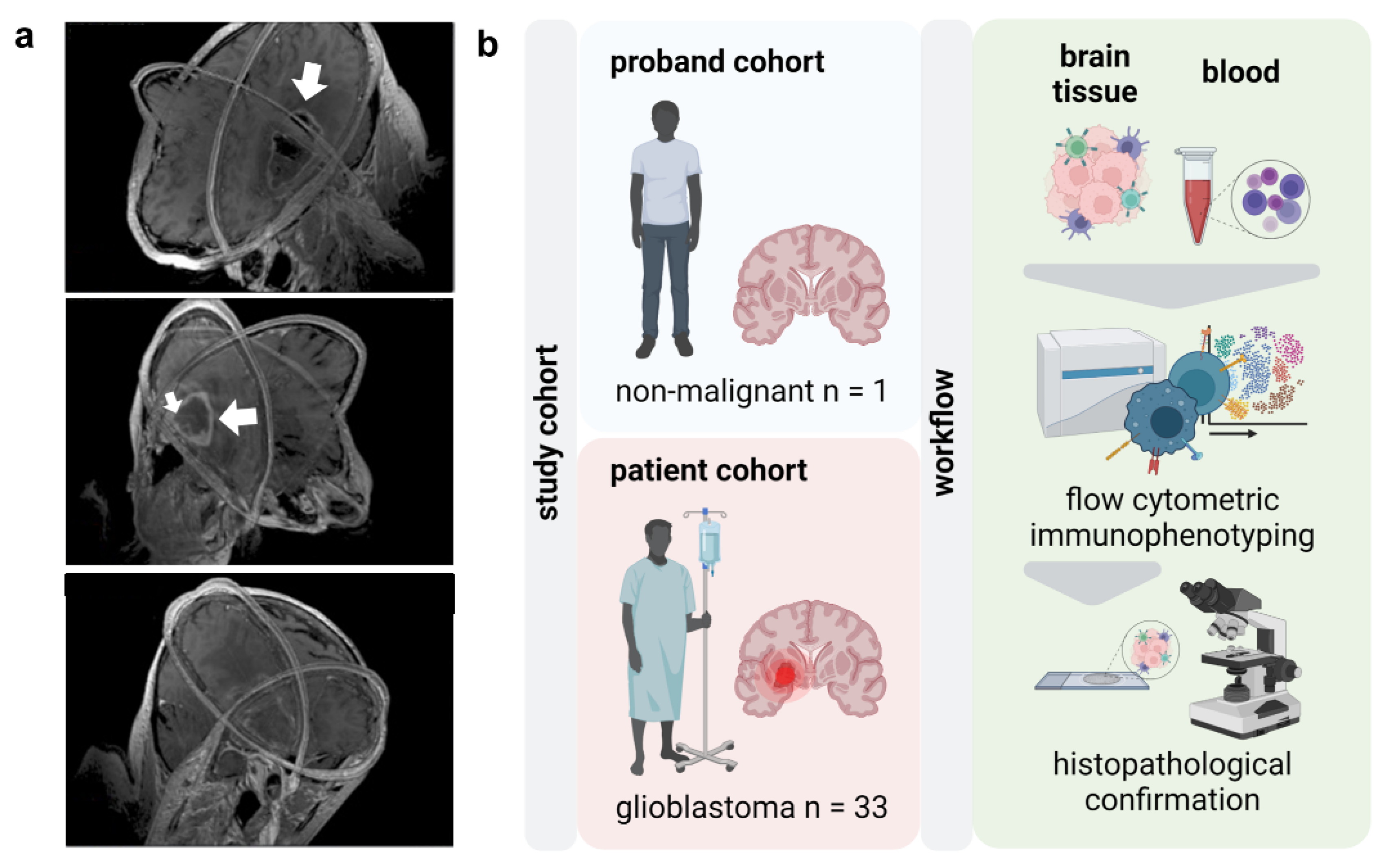 Cancers 14 05751 g001 Cancers 14 05751 g001