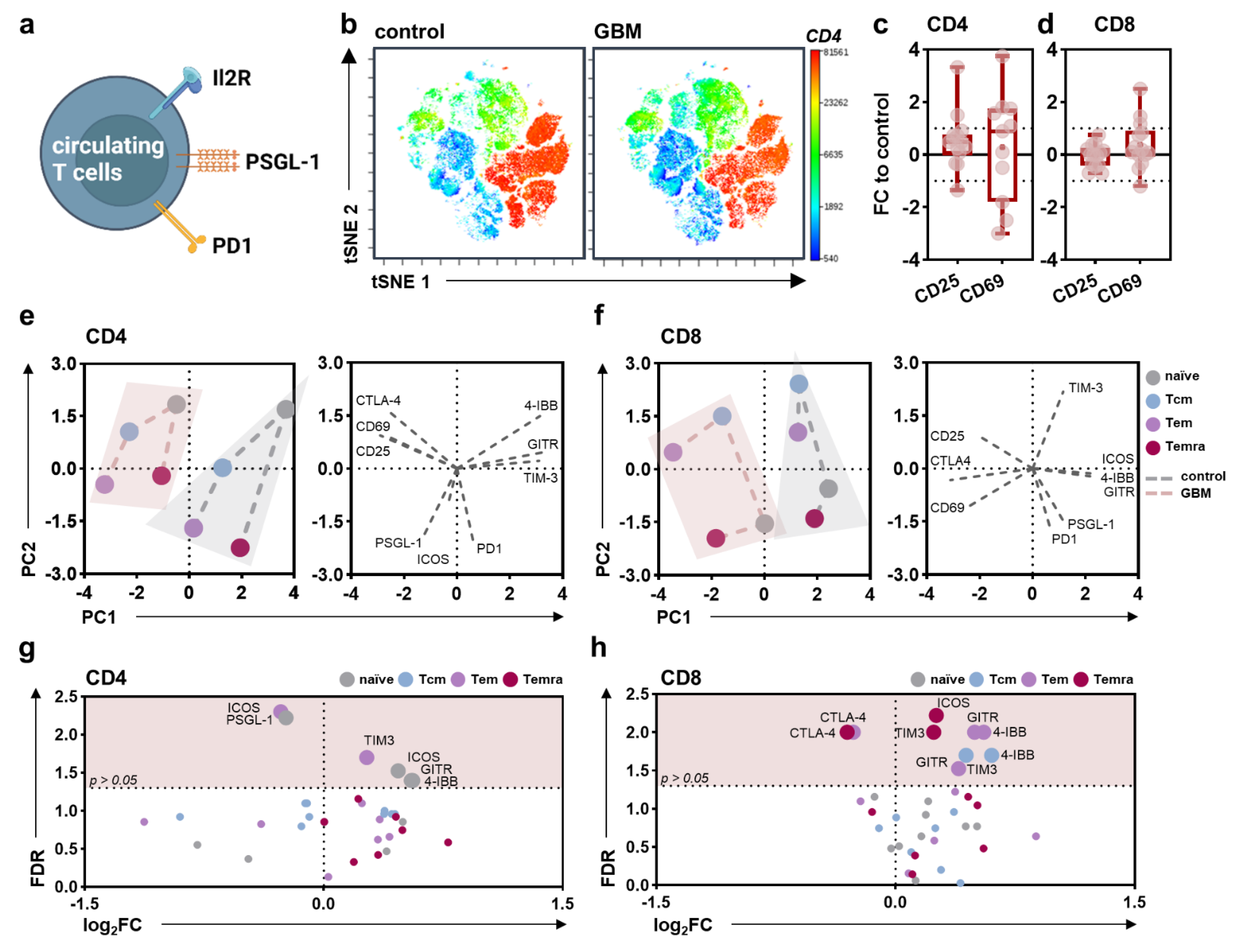 Cancers 14 05751 g003 Cancers 14 05751 g003