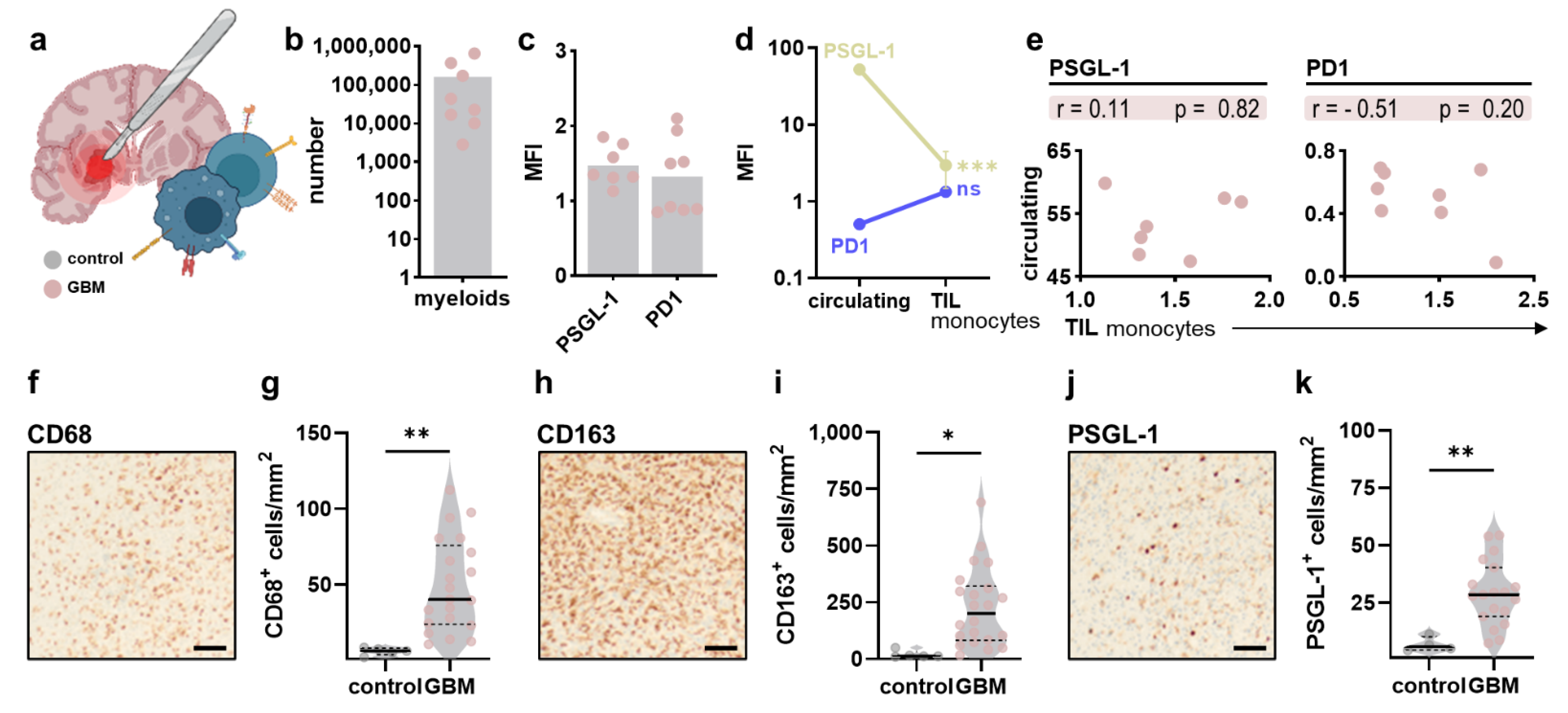 Cancers 14 05751 g004 Cancers 14 05751 g004