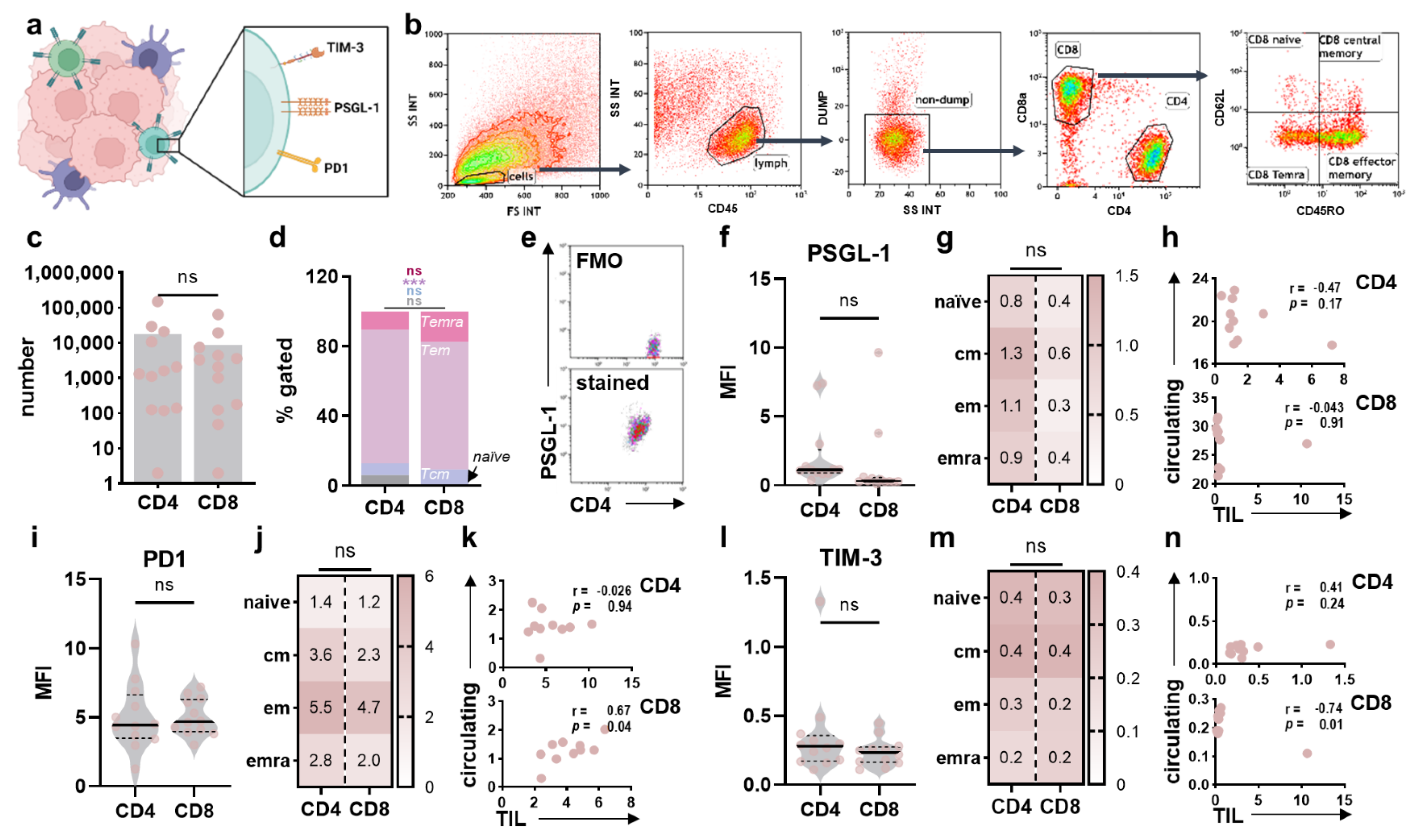 Cancers 14 05751 g005 Cancers 14 05751 g005