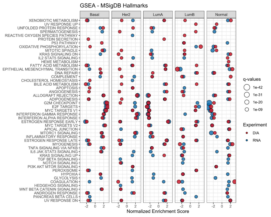 Cancers 14 05761 g001