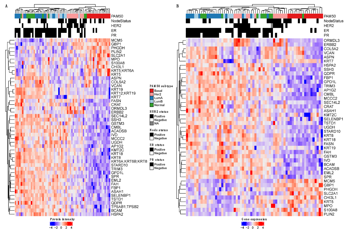 Cancers 14 05761 g004