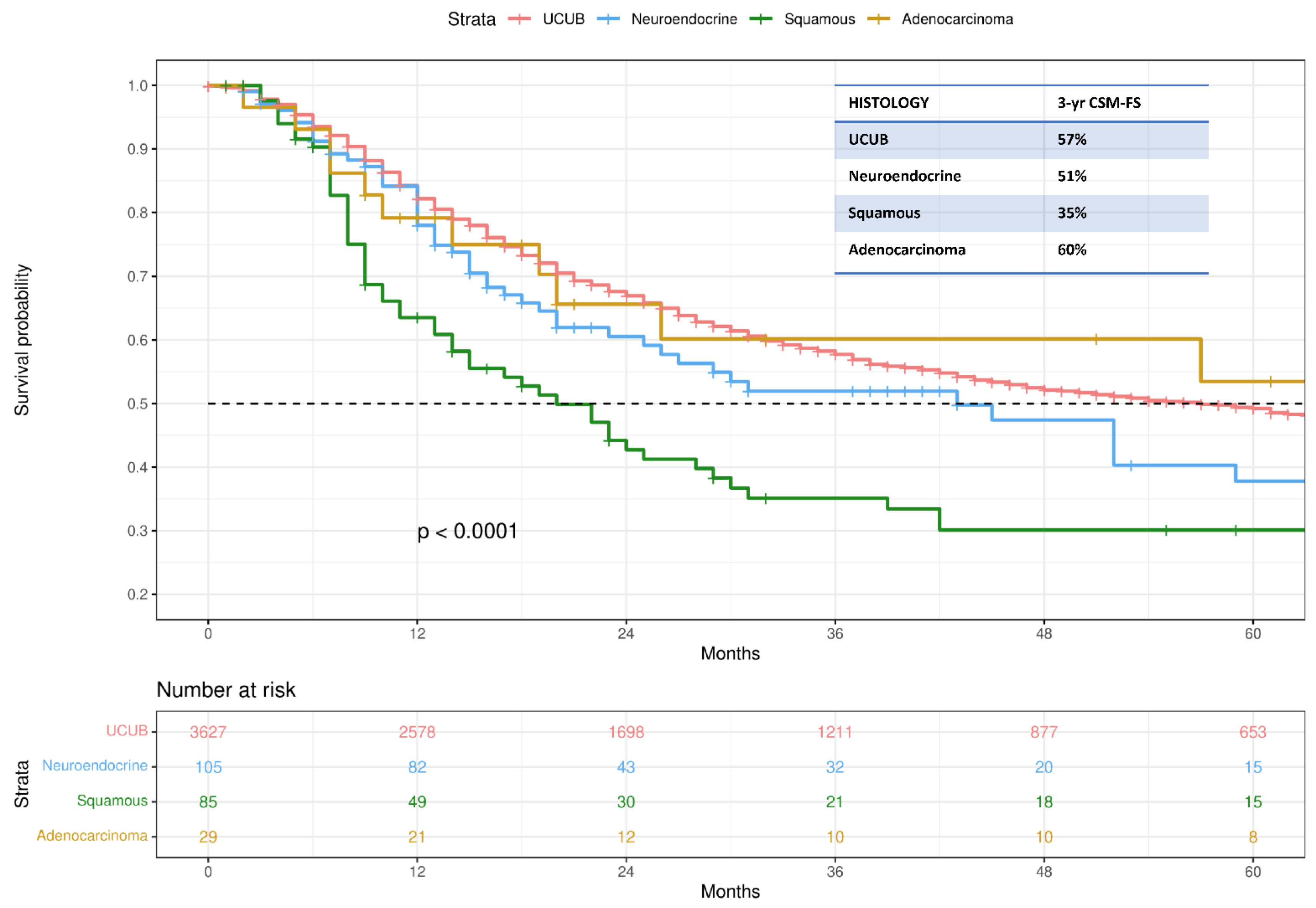 Cancers 14 05766 g001
