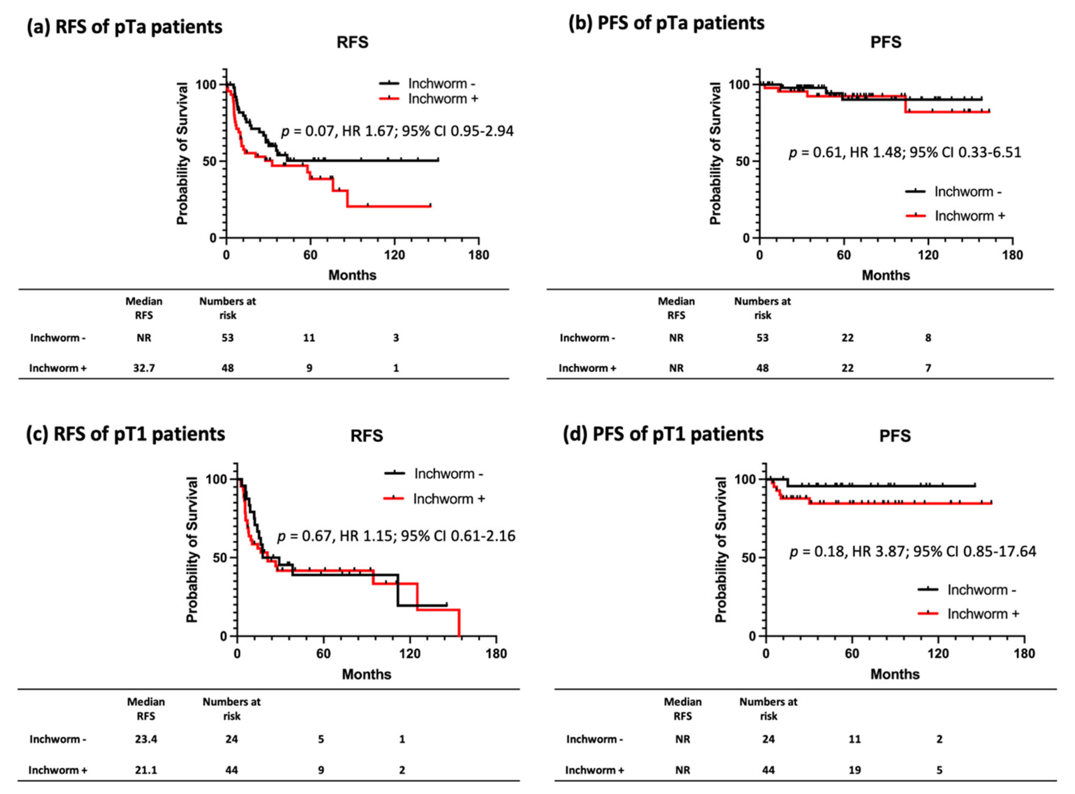 Cancers 14 05767 g004 Cancers 14 05767 g004