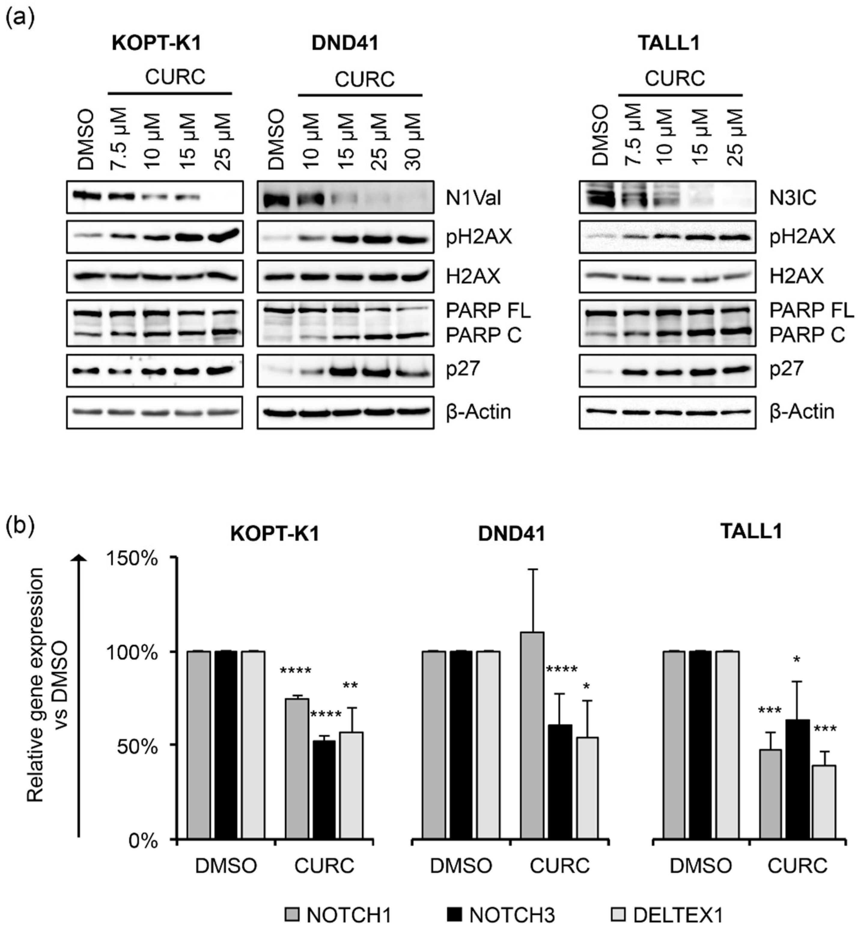 Cancers 14 05772 g001 Cancers 14 05772 g001