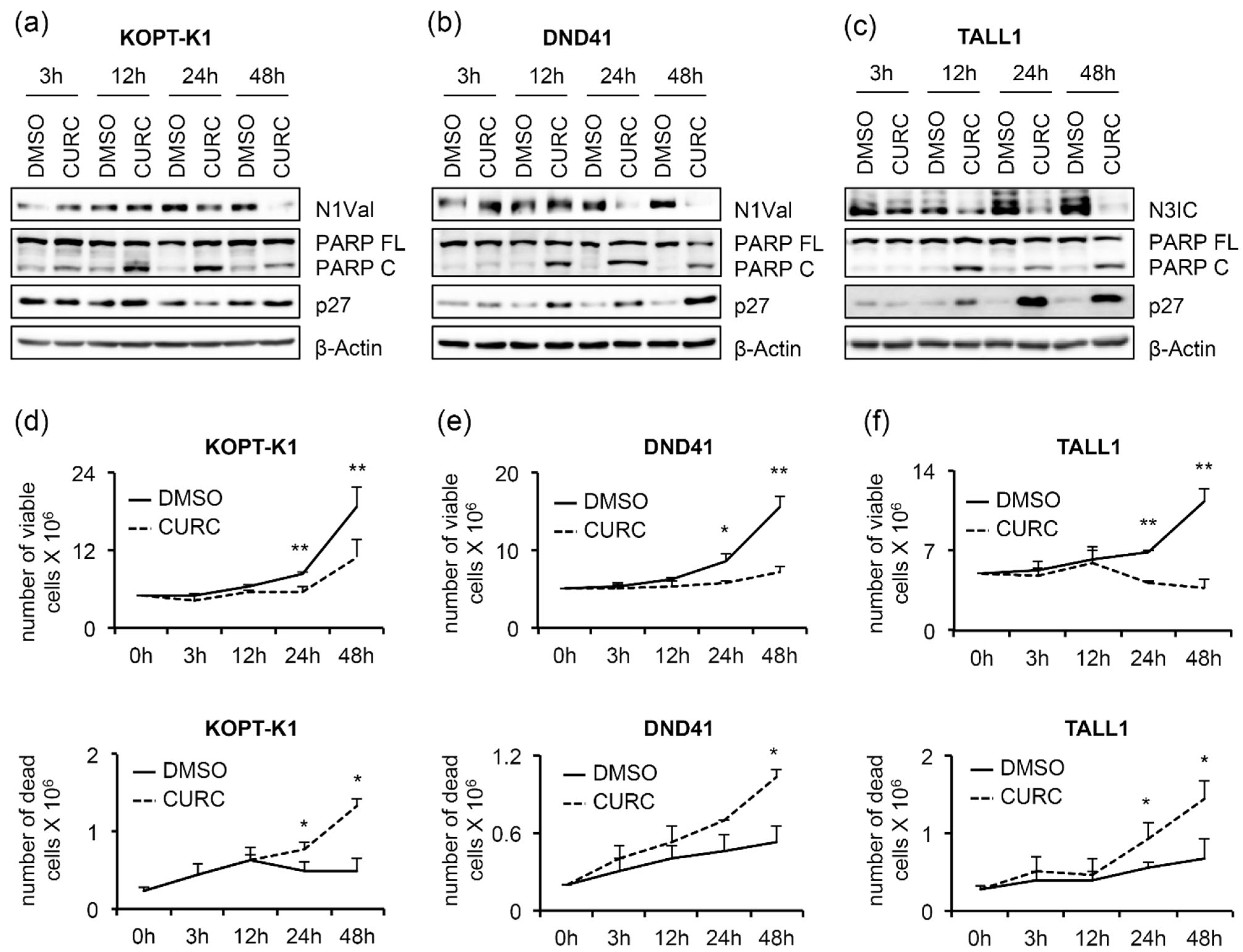 Cancers 14 05772 g002 Cancers 14 05772 g002
