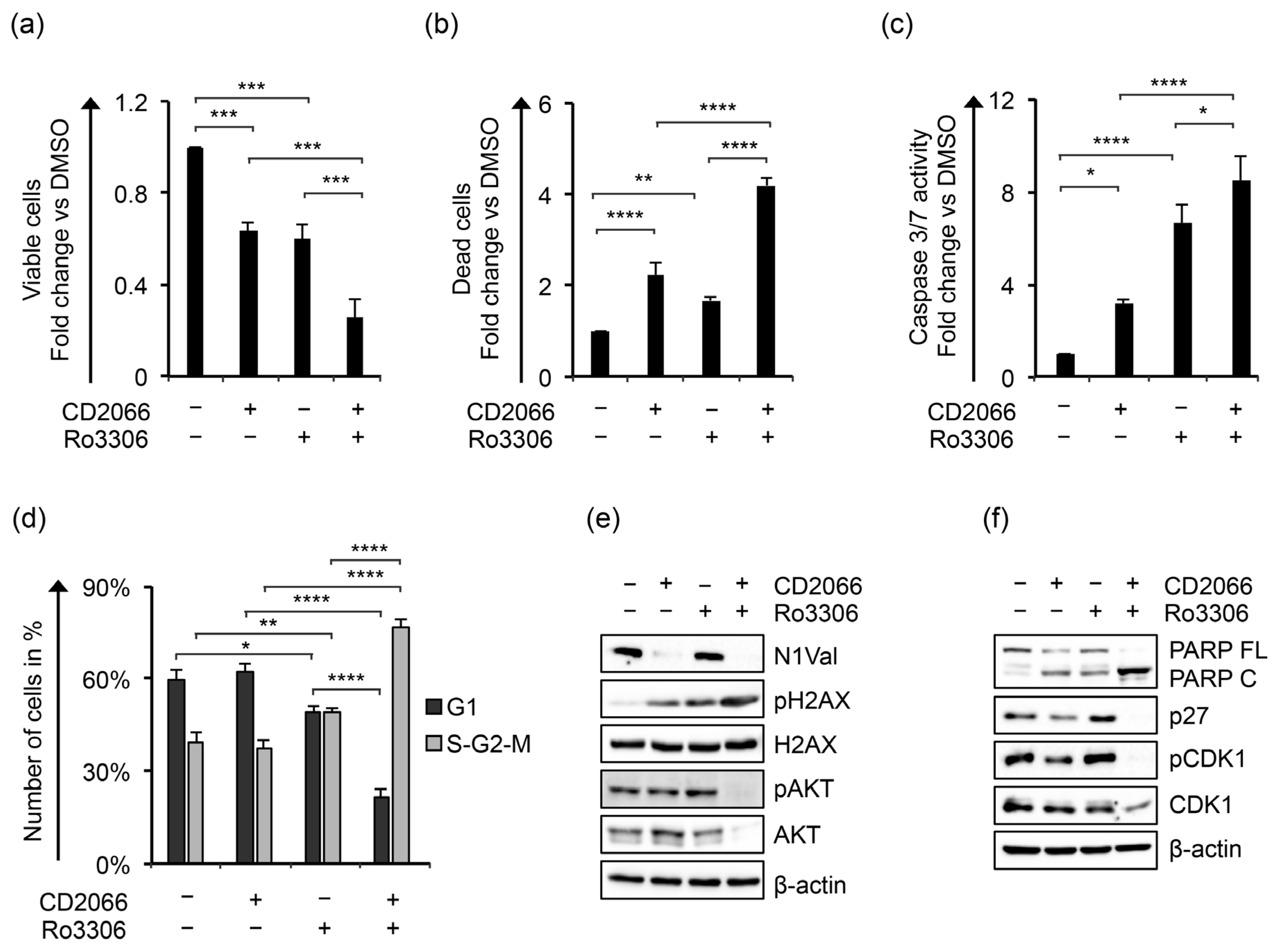 Cancers 14 05772 g012 Cancers 14 05772 g012