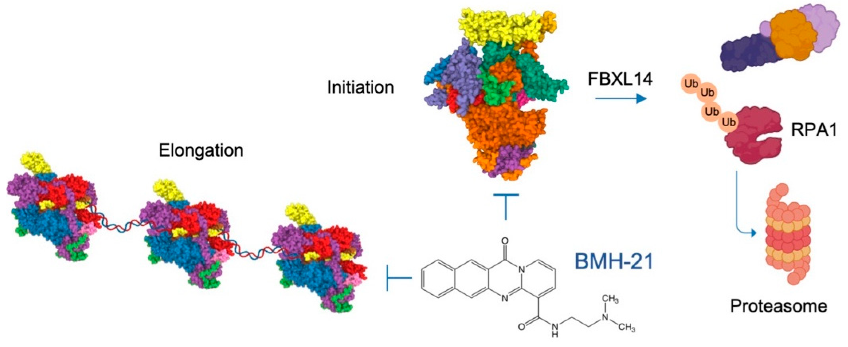 Cancers 14 05776 g004 Cancers 14 05776 g004