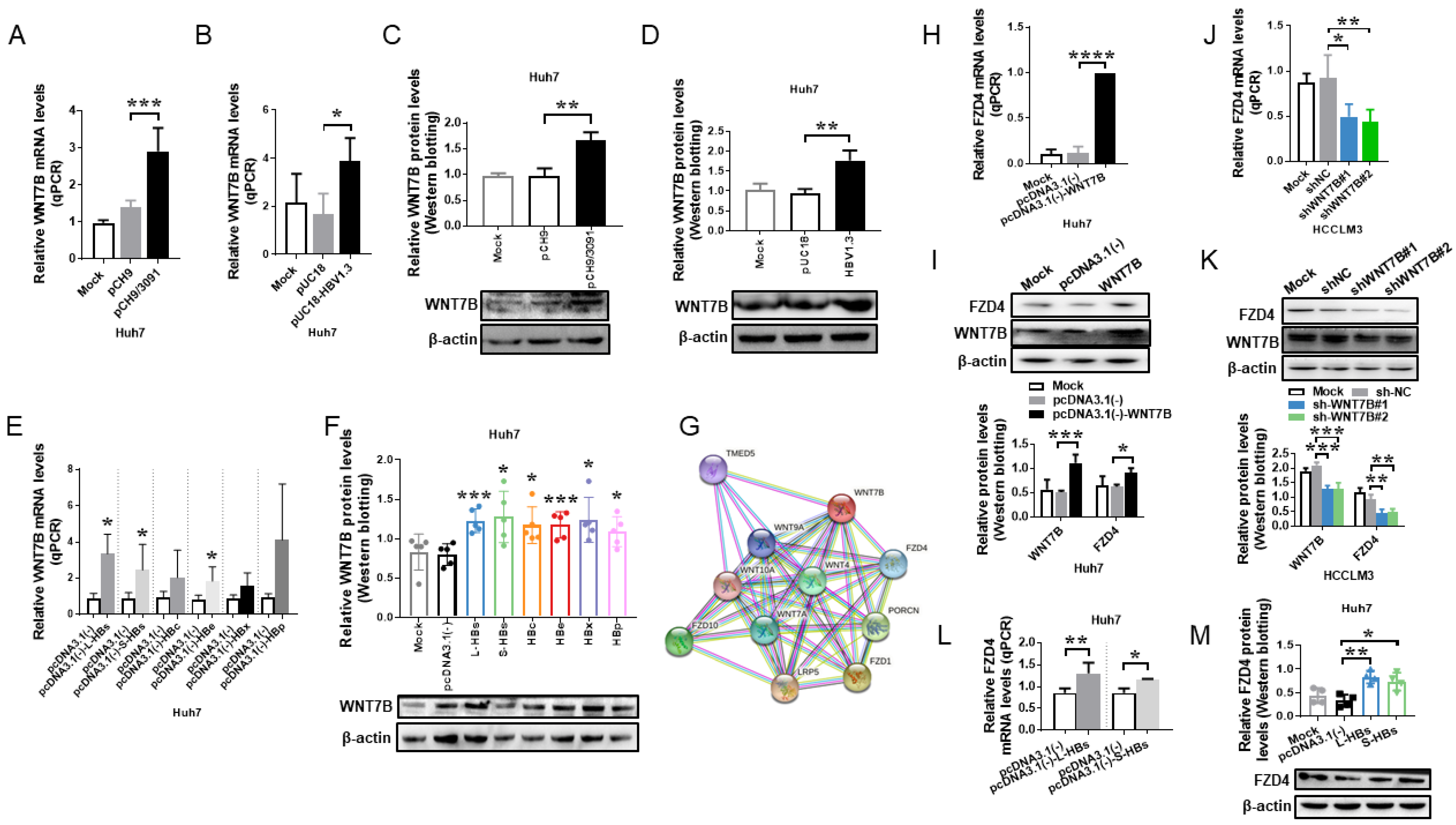 Cancers 14 05781 g002 Cancers 14 05781 g002