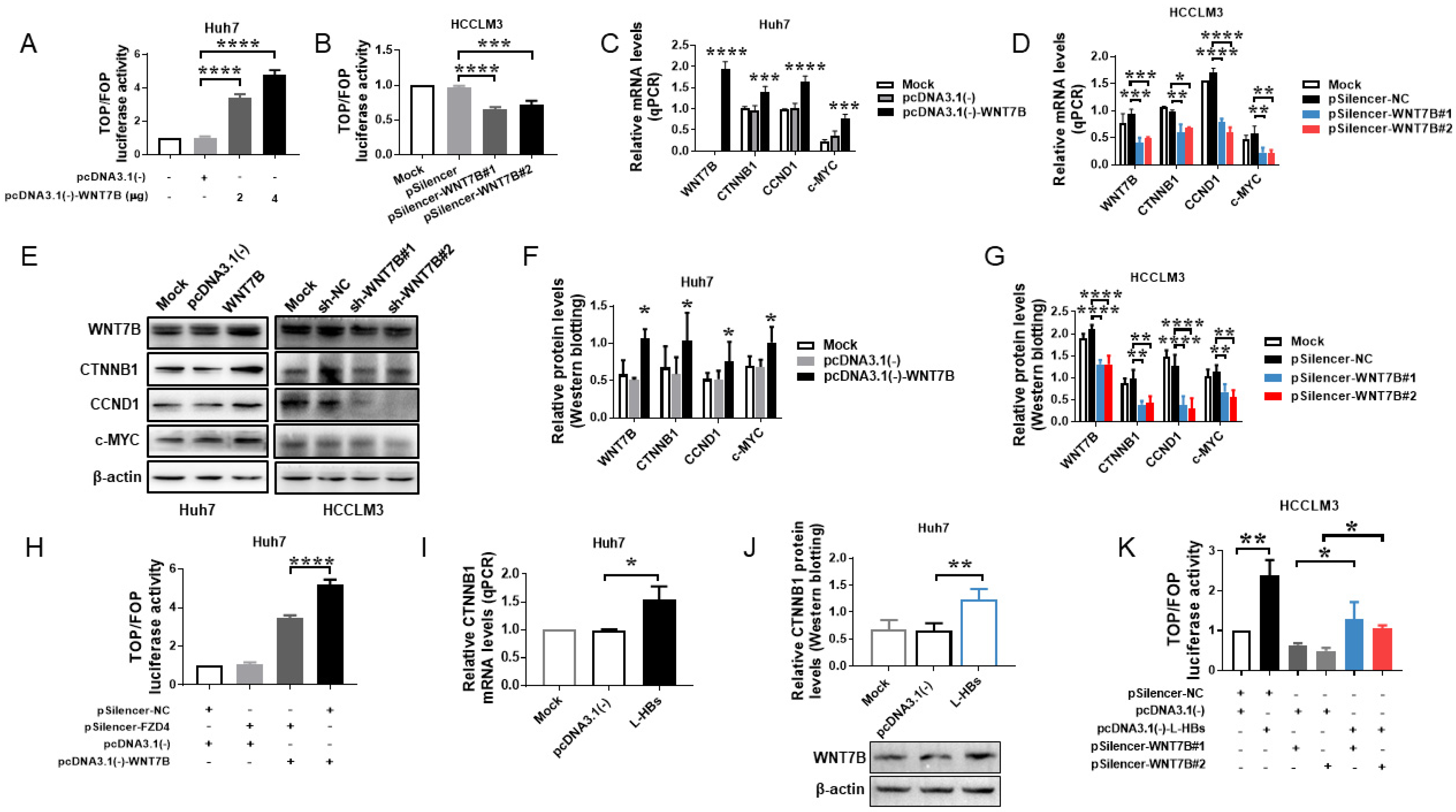 Cancers 14 05781 g003 Cancers 14 05781 g003