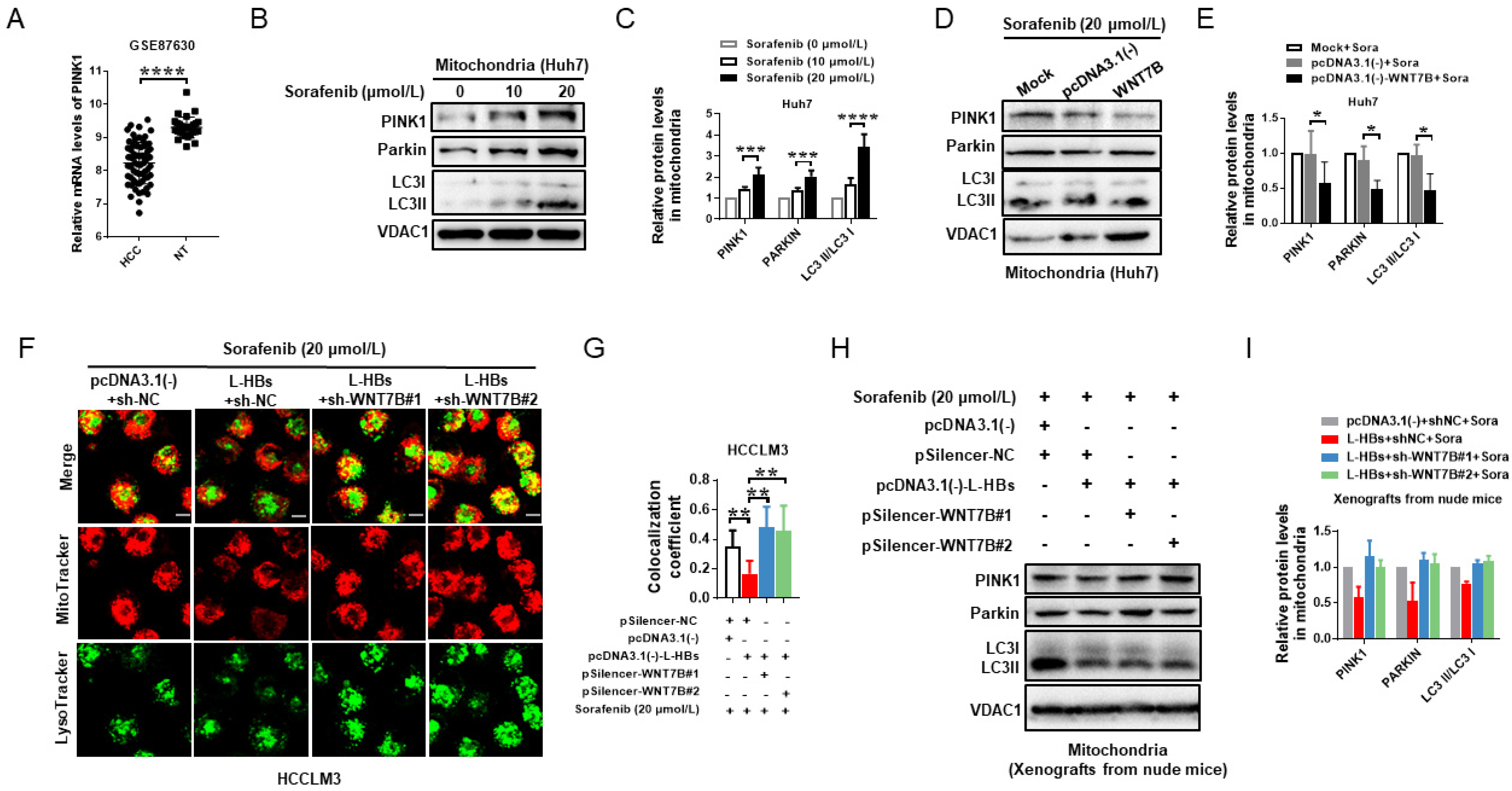 Cancers 14 05781 g006 Cancers 14 05781 g006