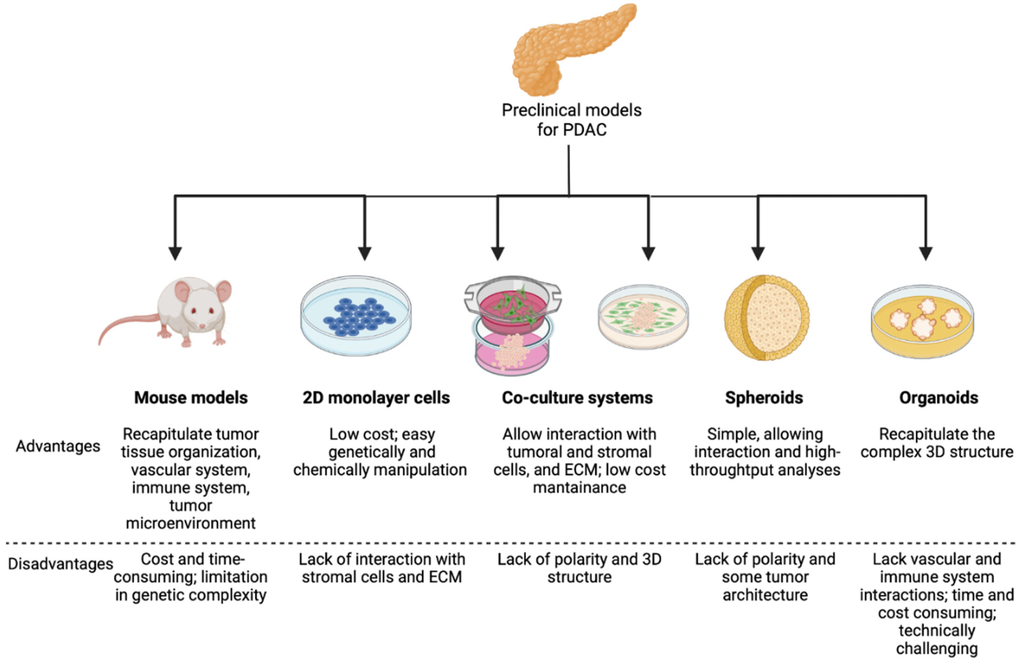 Cancers 14 05797 g001 Cancers 14 05797 g001