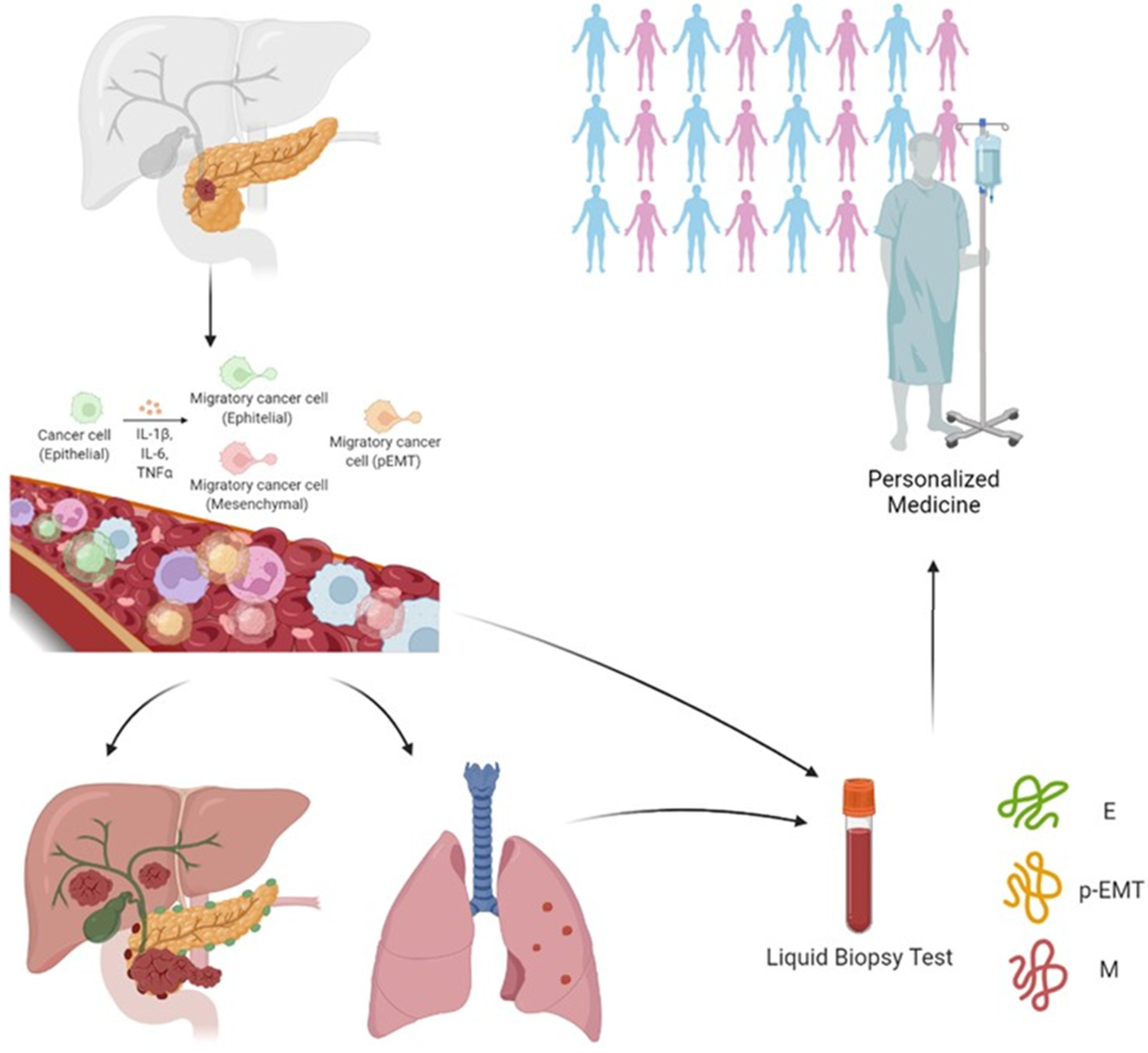 Cancers 14 05797 g002 Cancers 14 05797 g002