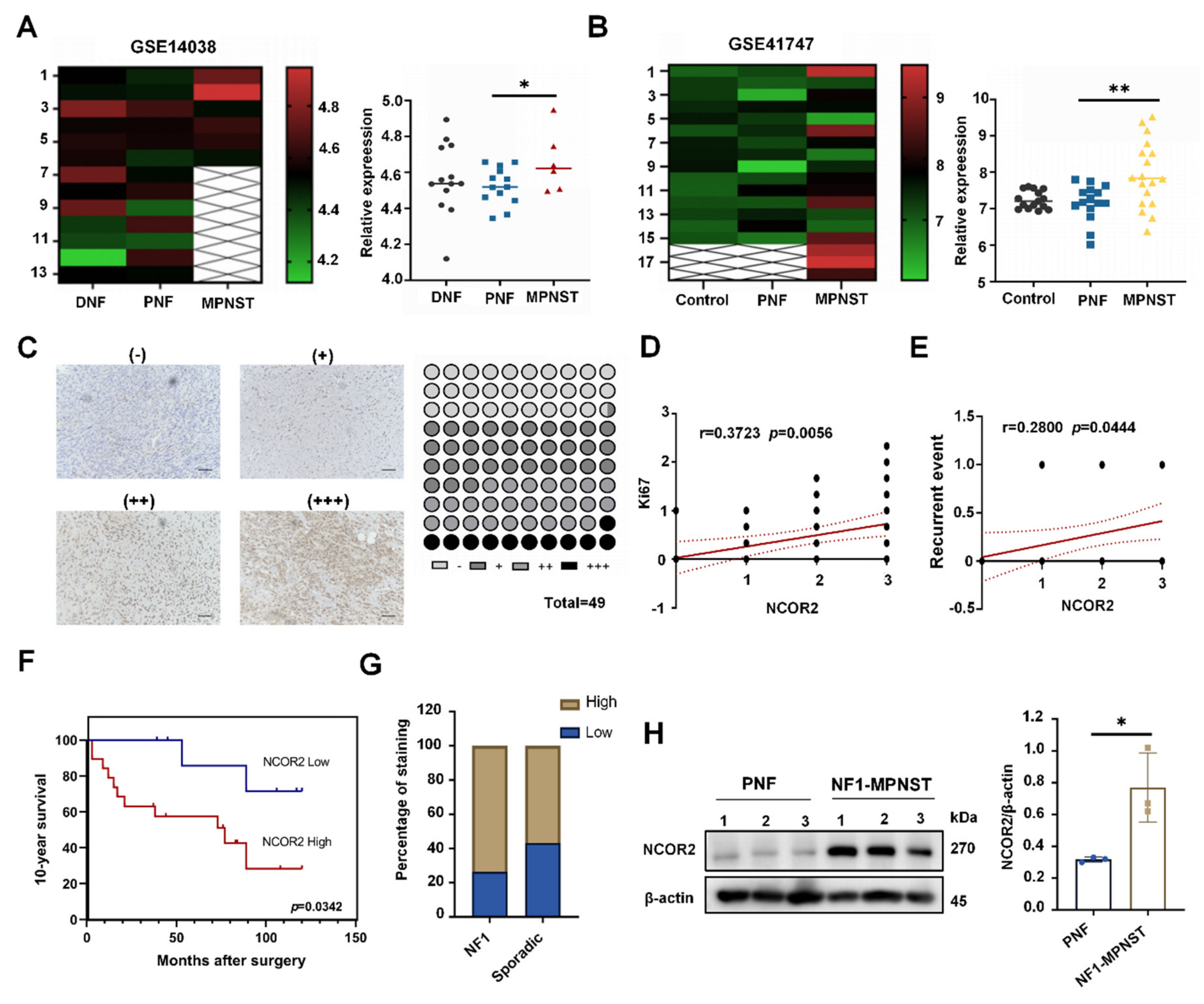 Cancers 14 05798 g001 Cancers 14 05798 g001