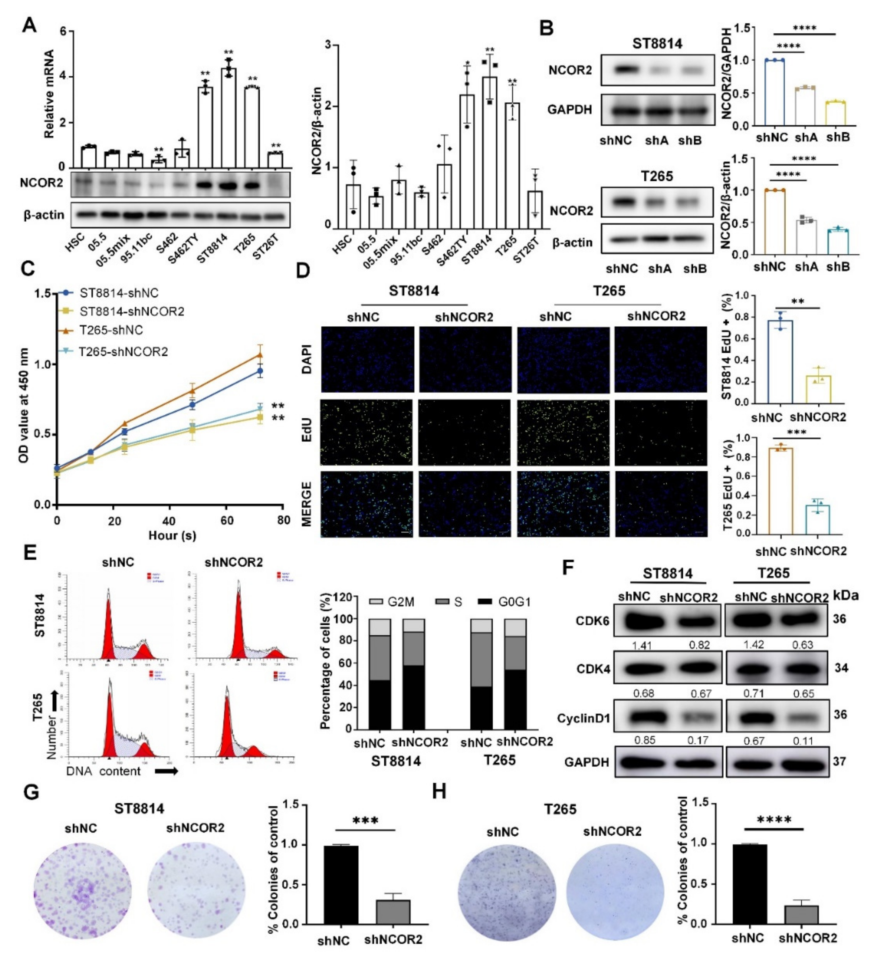 Cancers 14 05798 g002 Cancers 14 05798 g002
