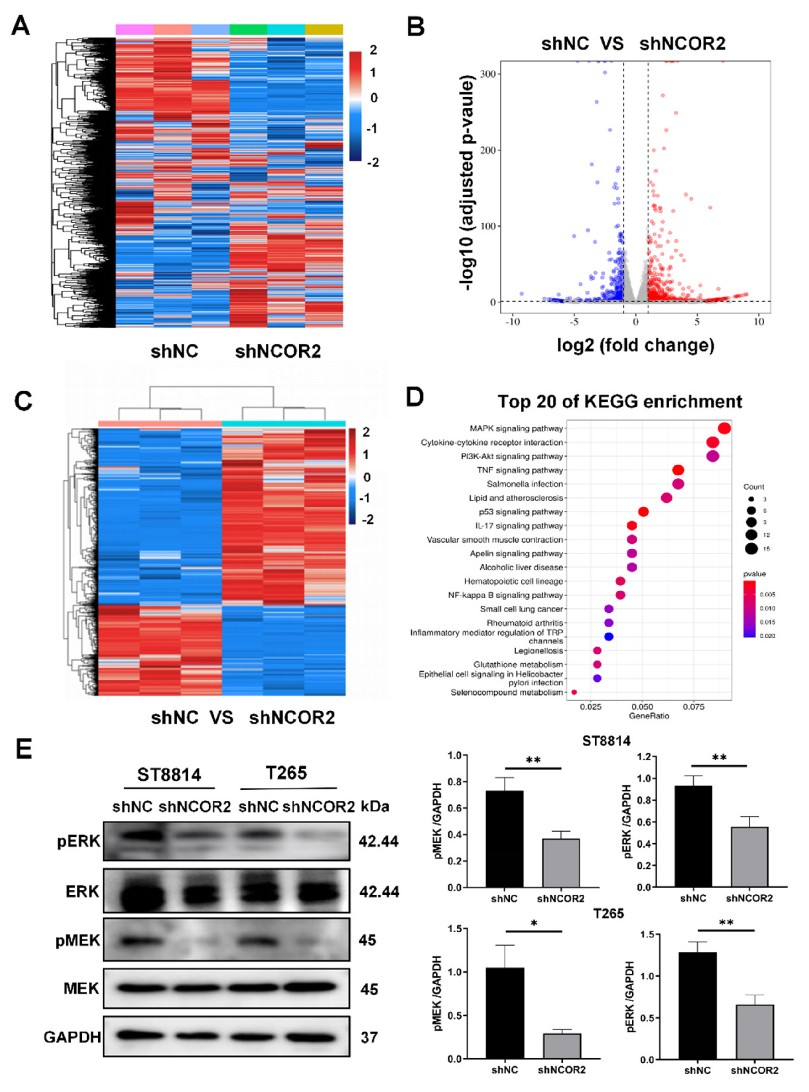 Cancers 14 05798 g004 Cancers 14 05798 g004