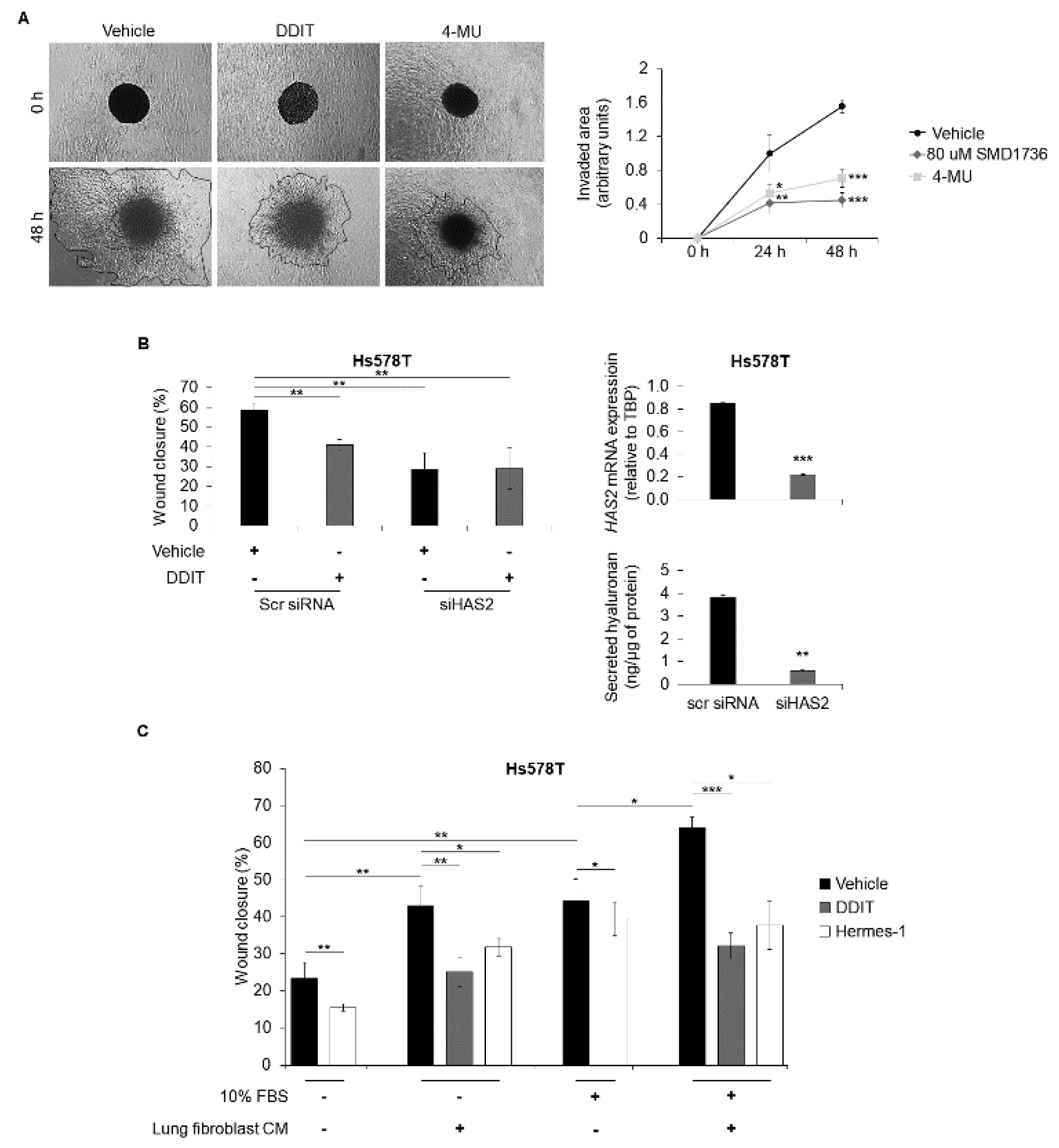 Cancers 14 05800 g007 Cancers 14 05800 g007