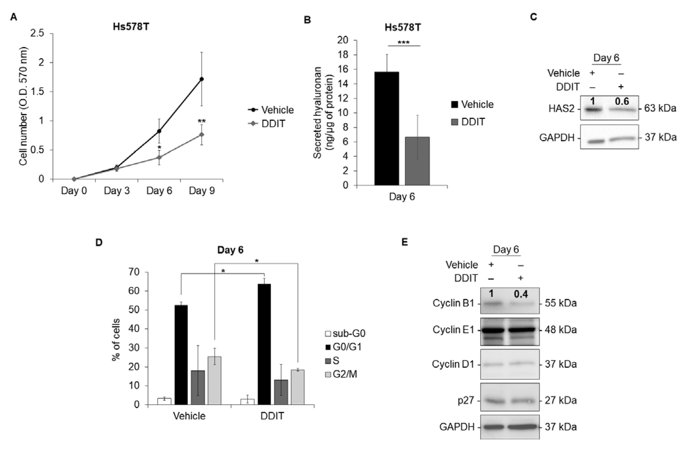 Cancers 14 05800 g008 Cancers 14 05800 g008