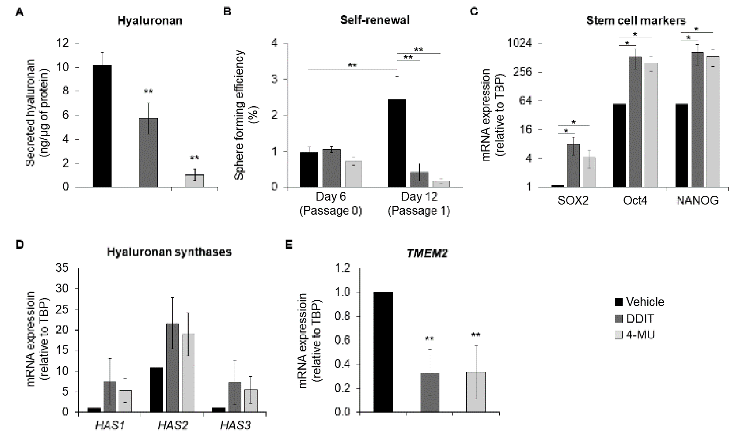 Cancers 14 05800 g009 Cancers 14 05800 g009