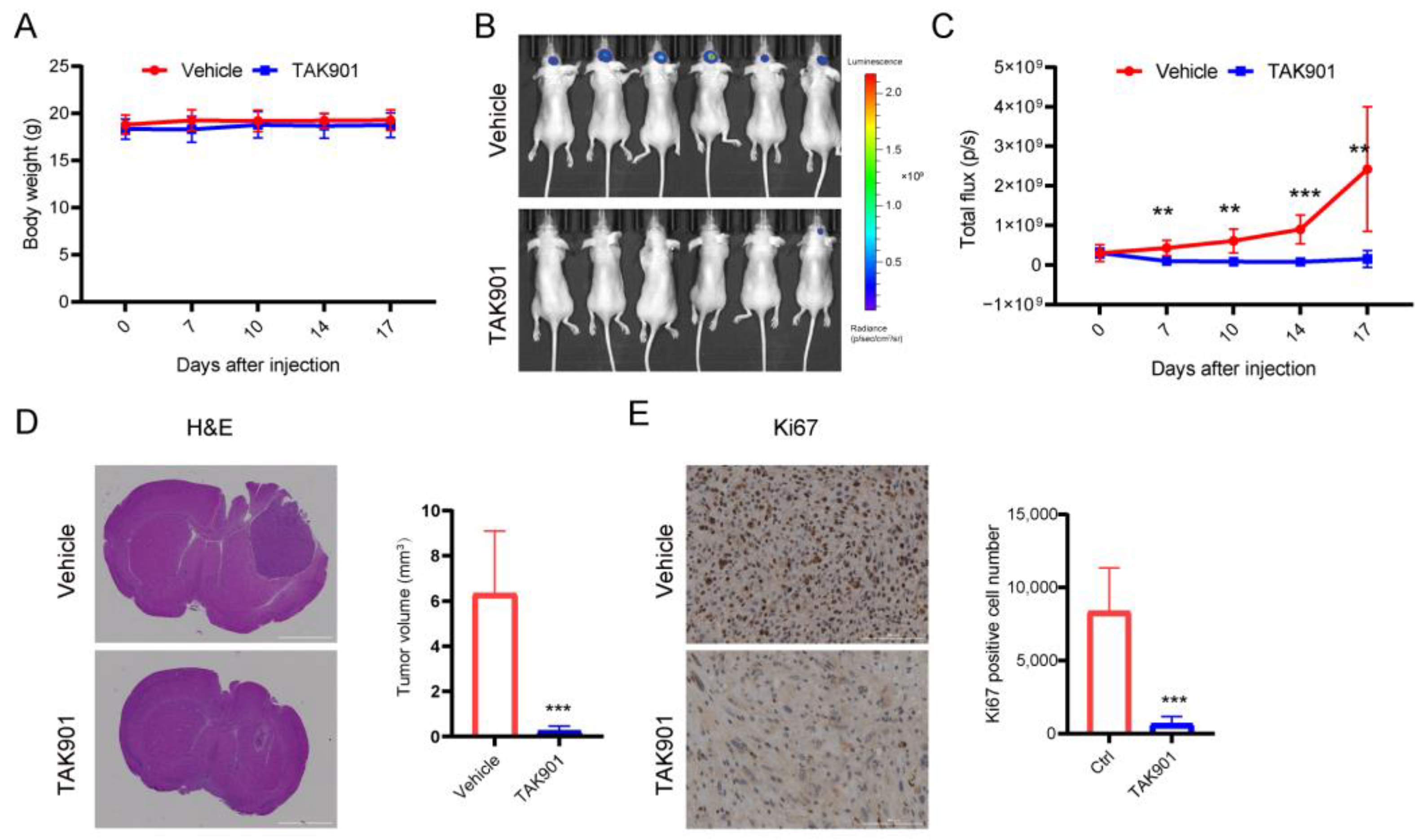 Cancers 14 05805 g003